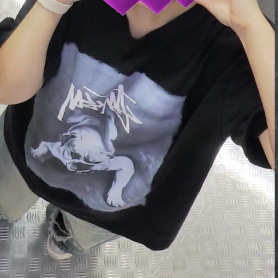 Stussy Bulldog T-Shirt Black 착용 스타일