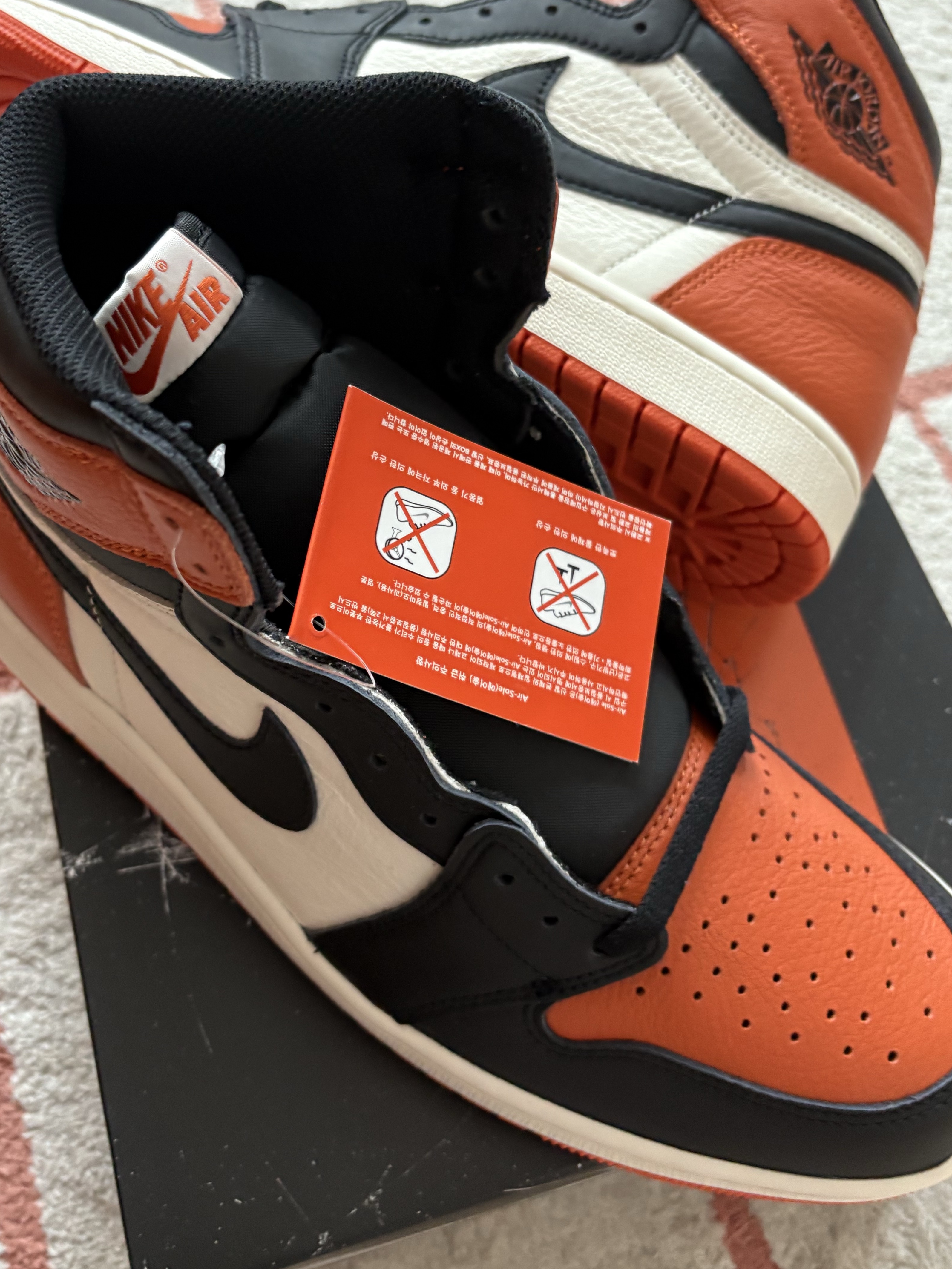 Jordan 1 Retro High OG Shattered Backboard 착용 스타일