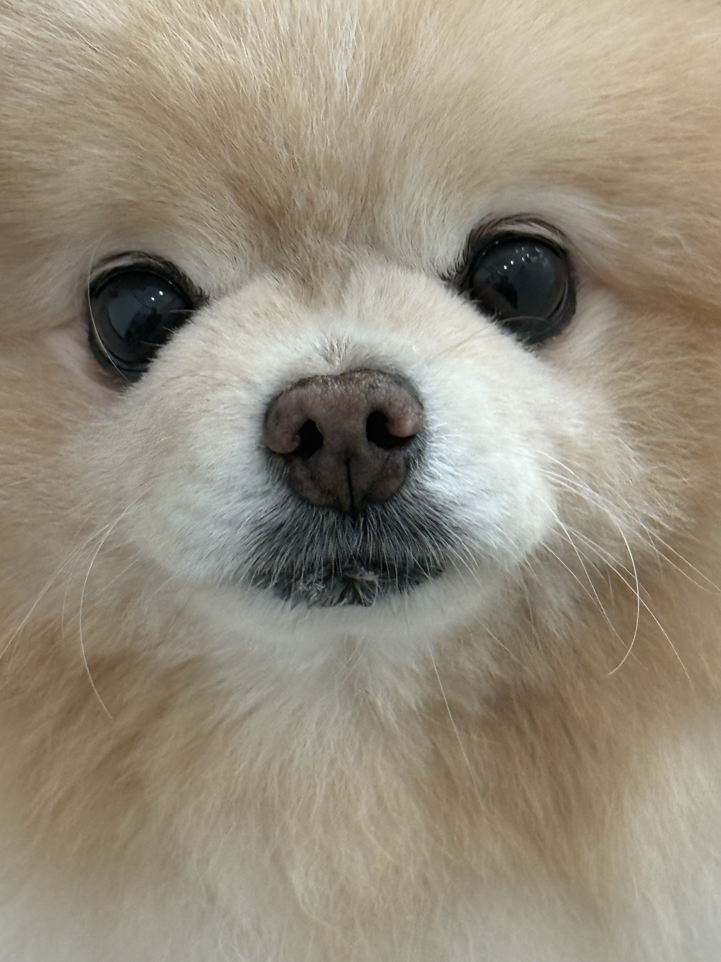핼둥님의 스타일