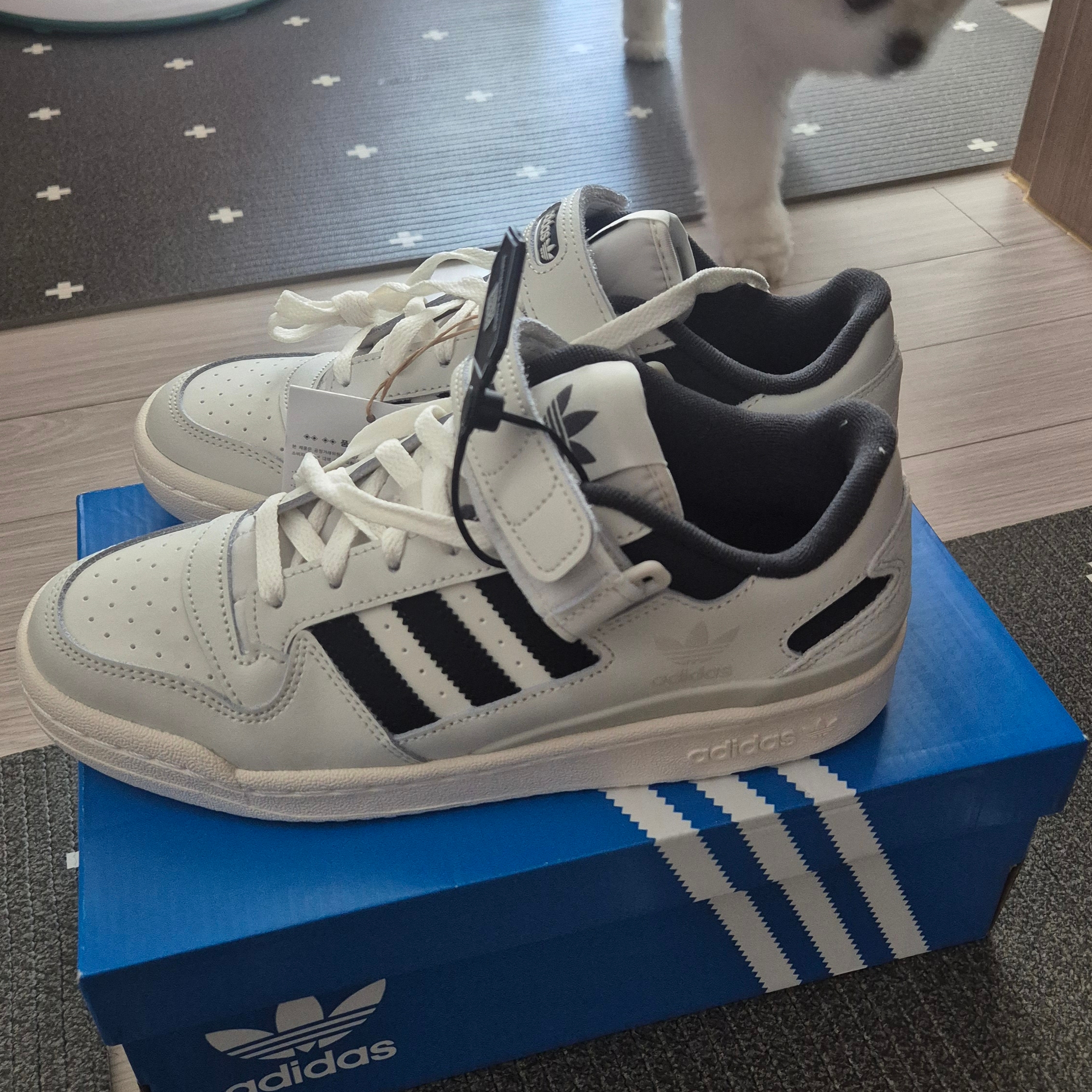 Adidas Forum Low Orbit Grey Core Black Carbon 착용 스타일