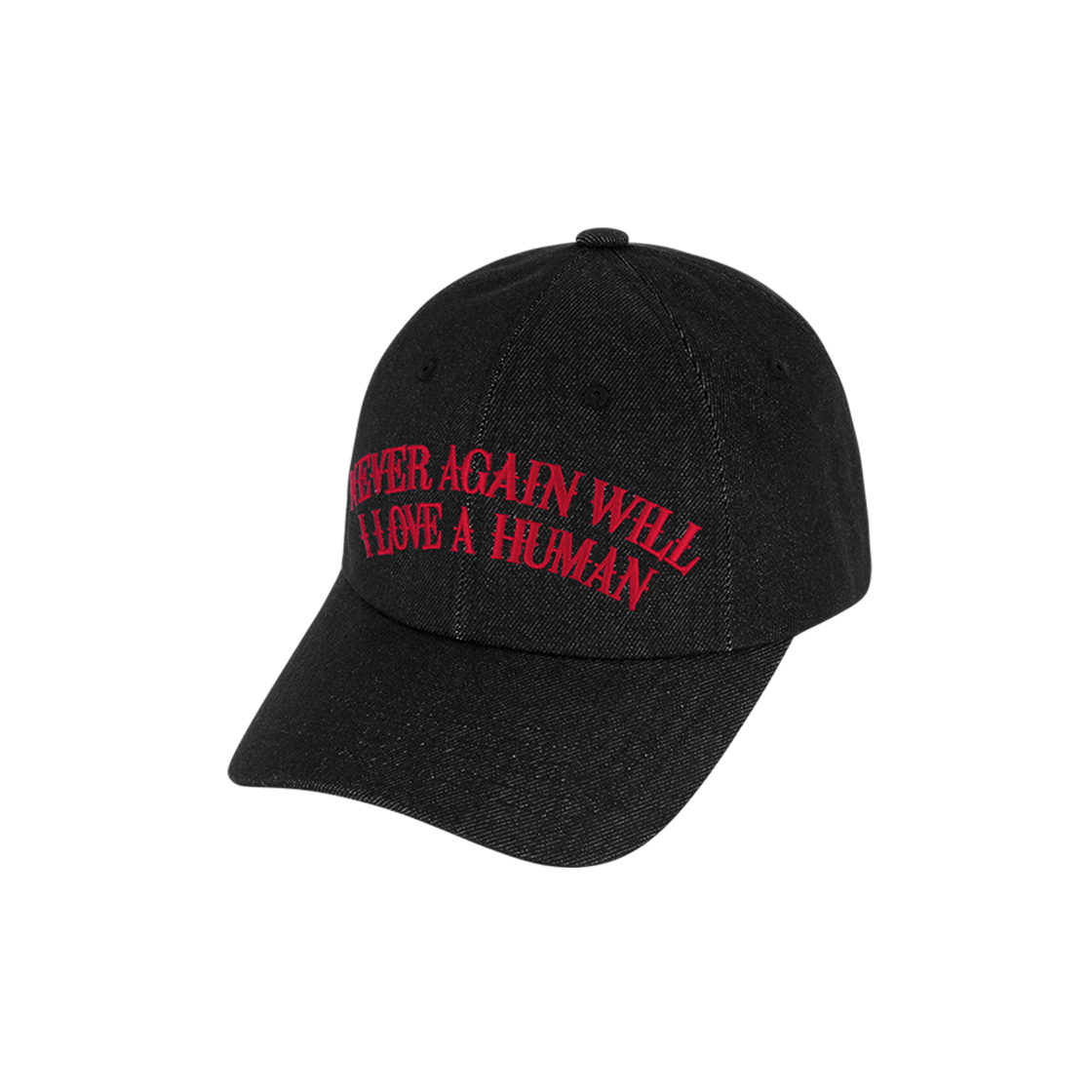 GDS51RUBC02BKFF GODASHIN Never Love Denim Ball Cap Black
