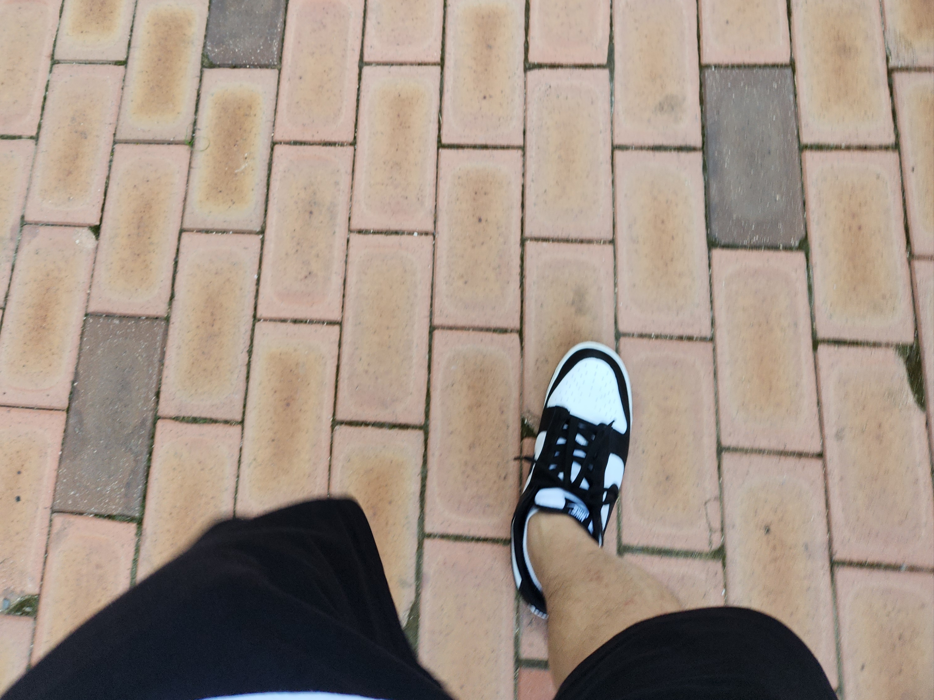 Nike Dunk Low Retro Black 착용 스타일