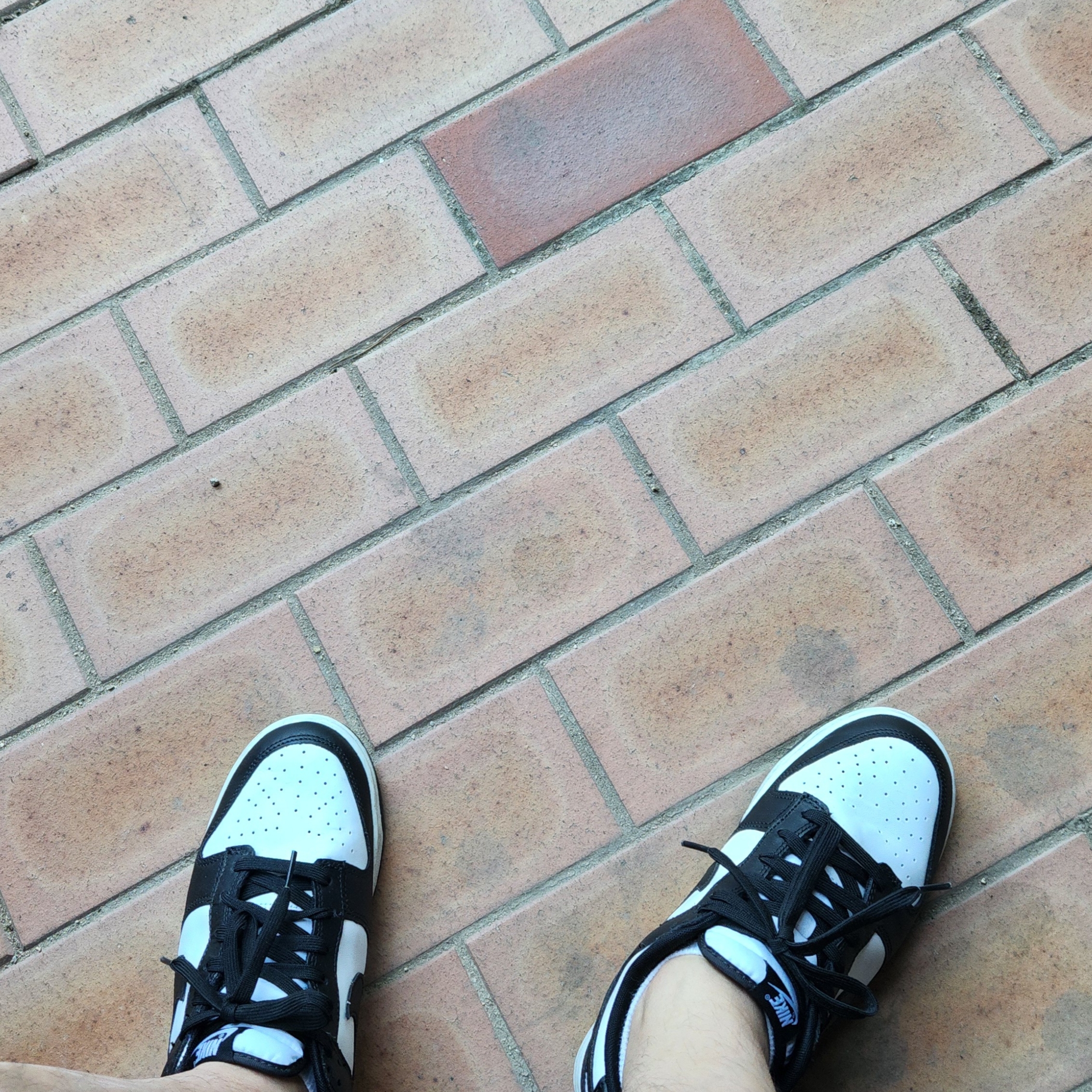 Nike Dunk Low Retro Black 착용 스타일