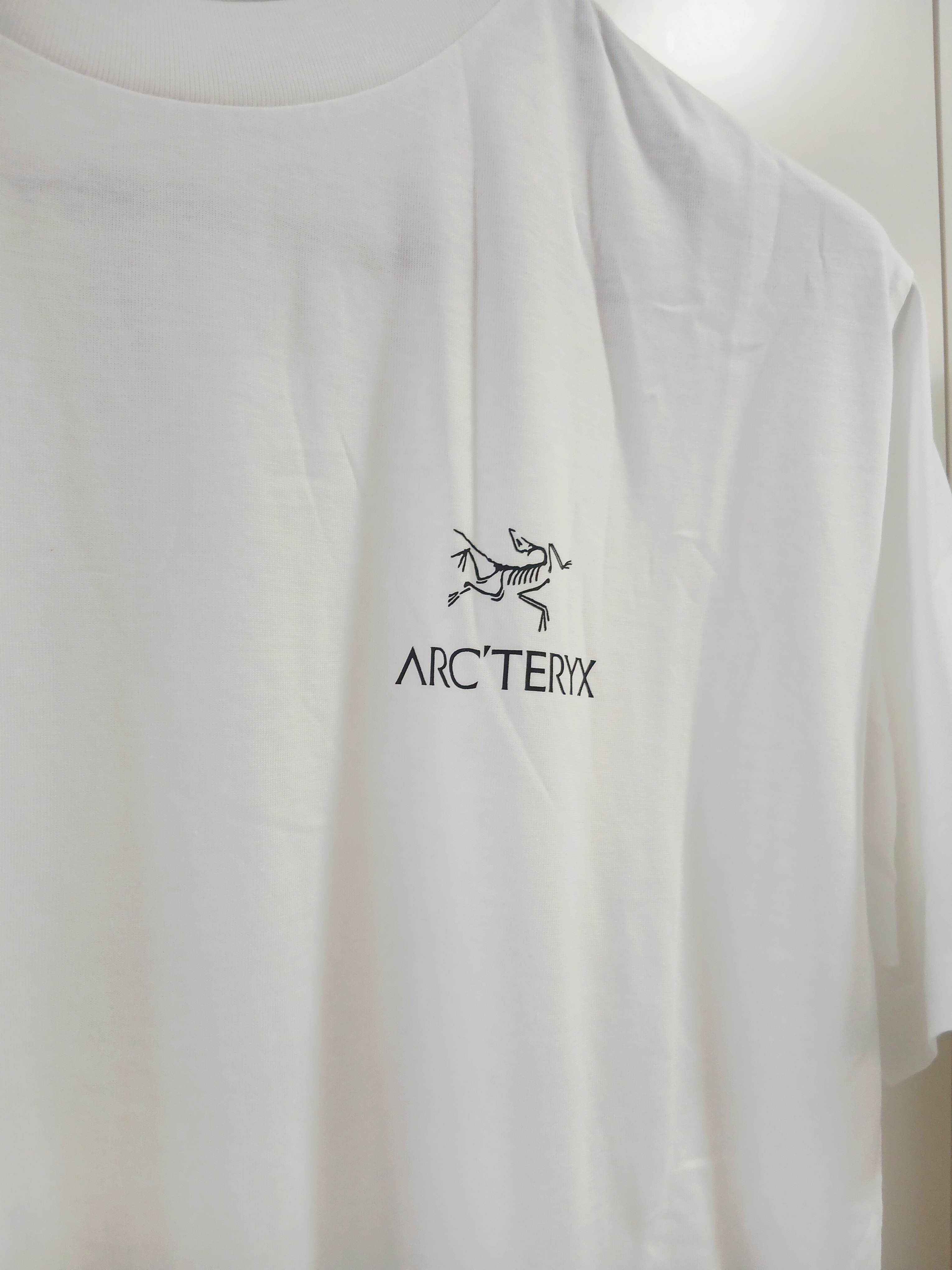 Arc'teryx Kragg SL Cotton Bird Word SS T-Shirt White Light Black 착용 스타일 - 4