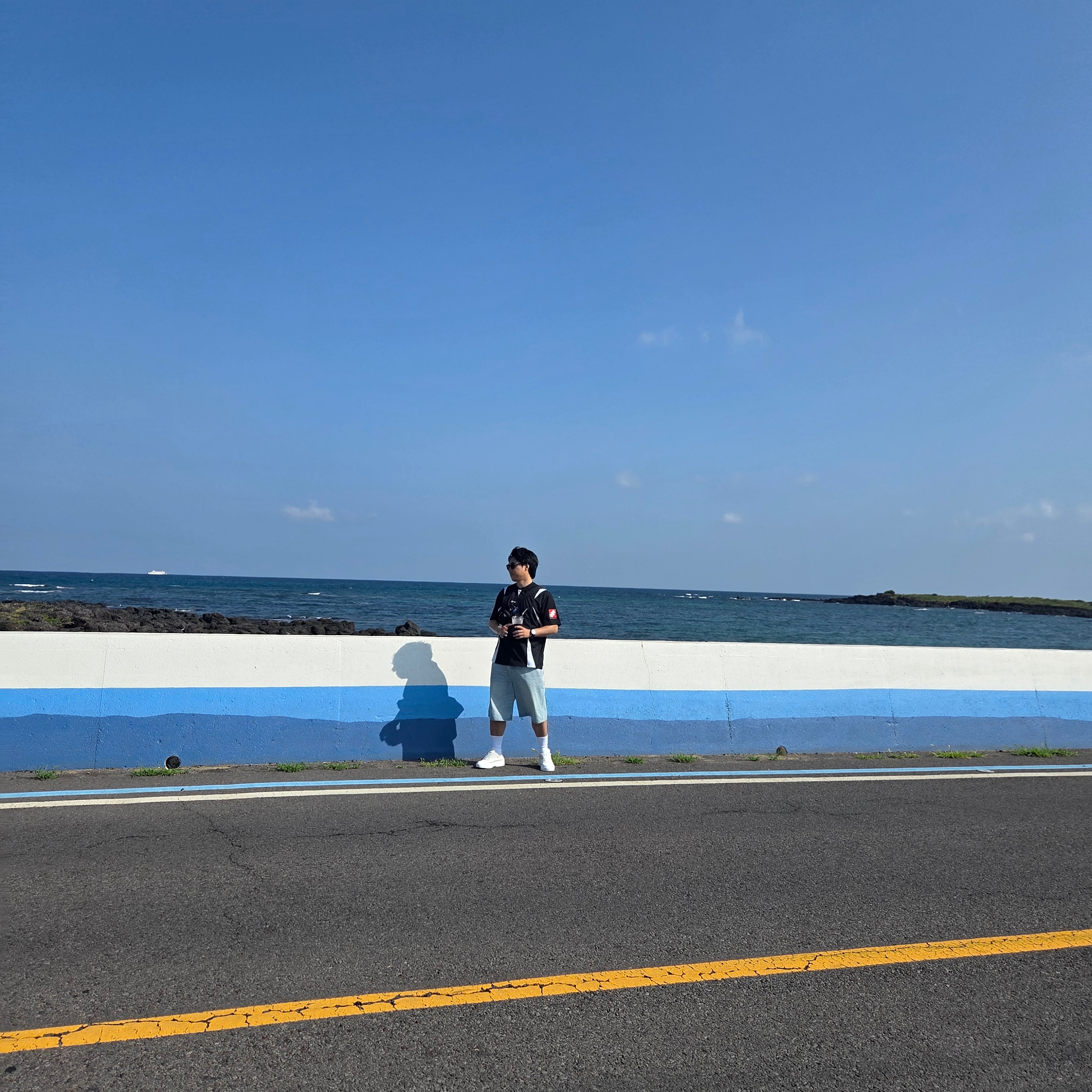 Stussy Denim Big OL' Shorts Rinsed Indigo, Palace x Stella Artois Tech Polo Black - 24SS 착용 스타일 - 4