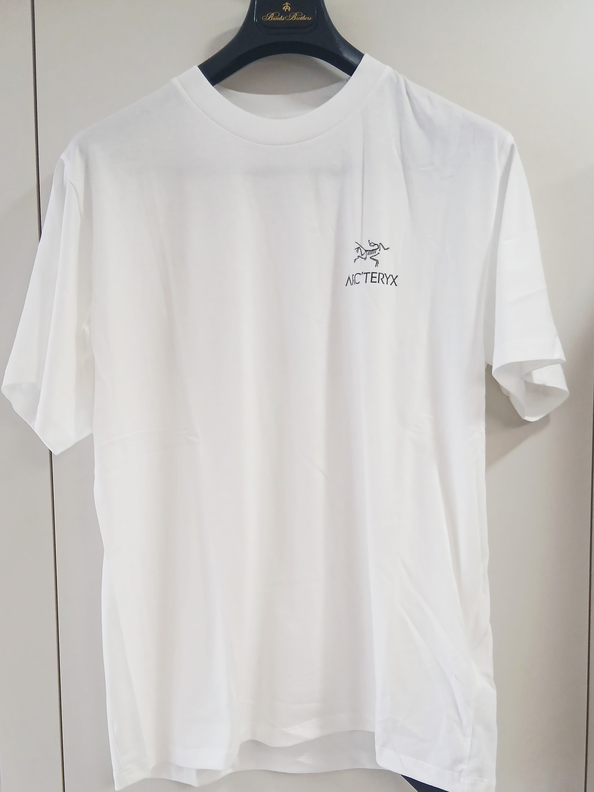 Arc'teryx Kragg SL Cotton Bird Word SS T-Shirt White Light Black 착용 스타일 - 2