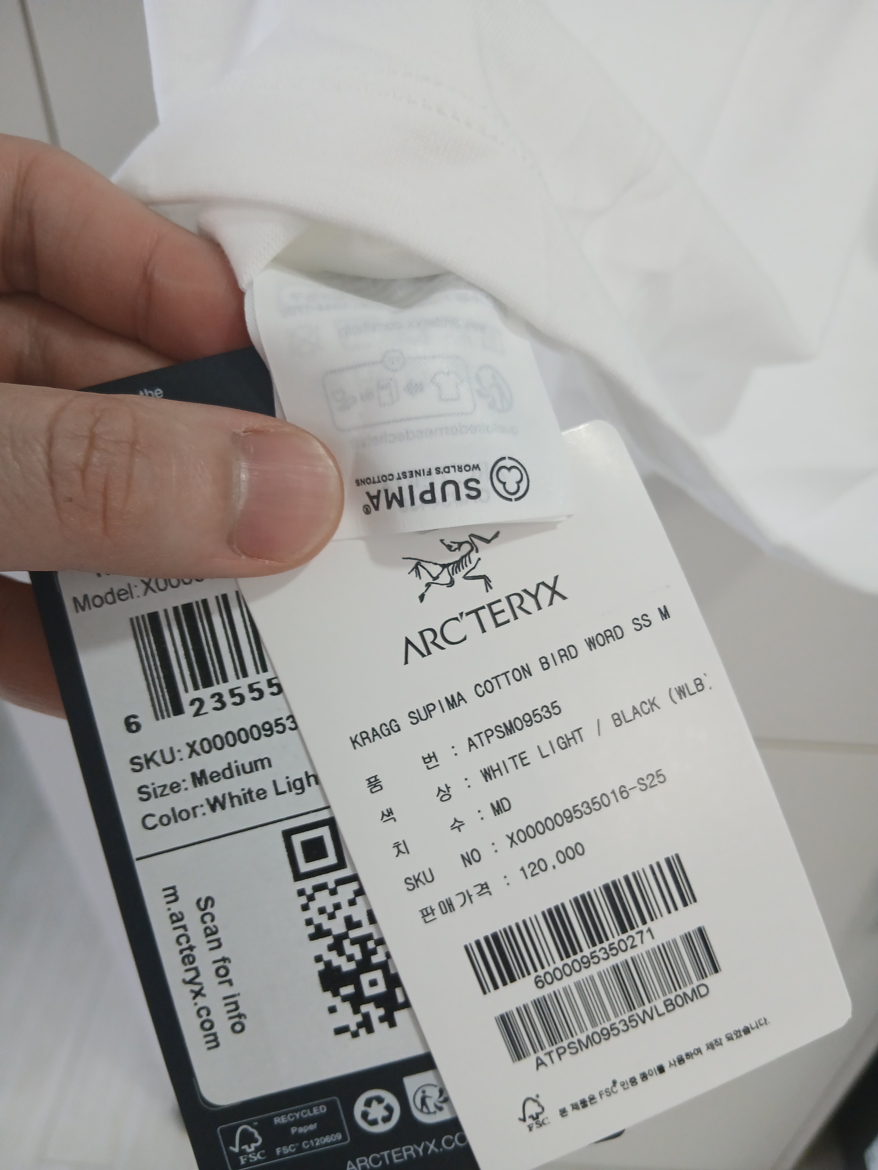 Arc'teryx Kragg SL Cotton Bird Word SS T-Shirt White Light Black 착용 스타일 - 3