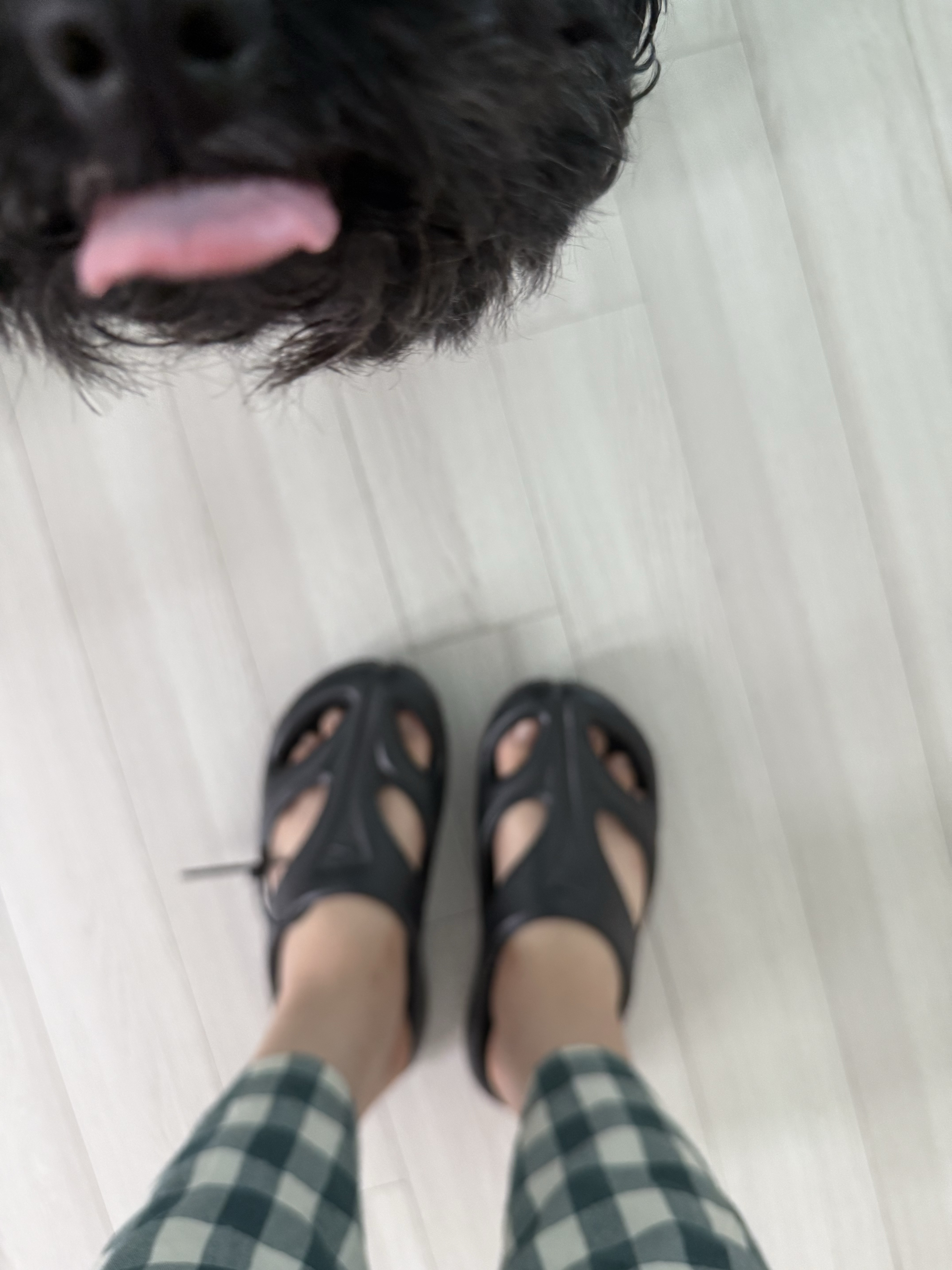 (W) Keen Shanti Black Dawn Blue 착용 스타일 - 2