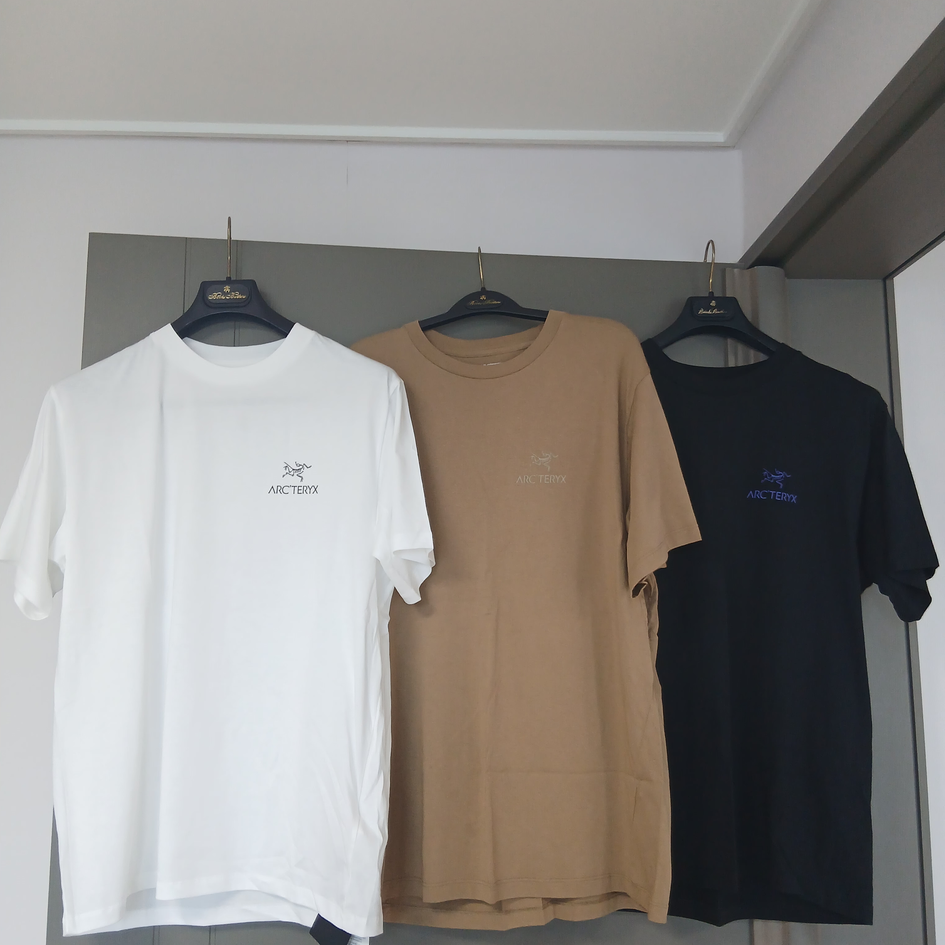 Arc'teryx Kragg SL Cotton Bird Word SS T-Shirt Canvas, Arc'teryx Kragg SL Cotton Bird Word SS T-Shirt White Light Black 착용 스타일 - 2