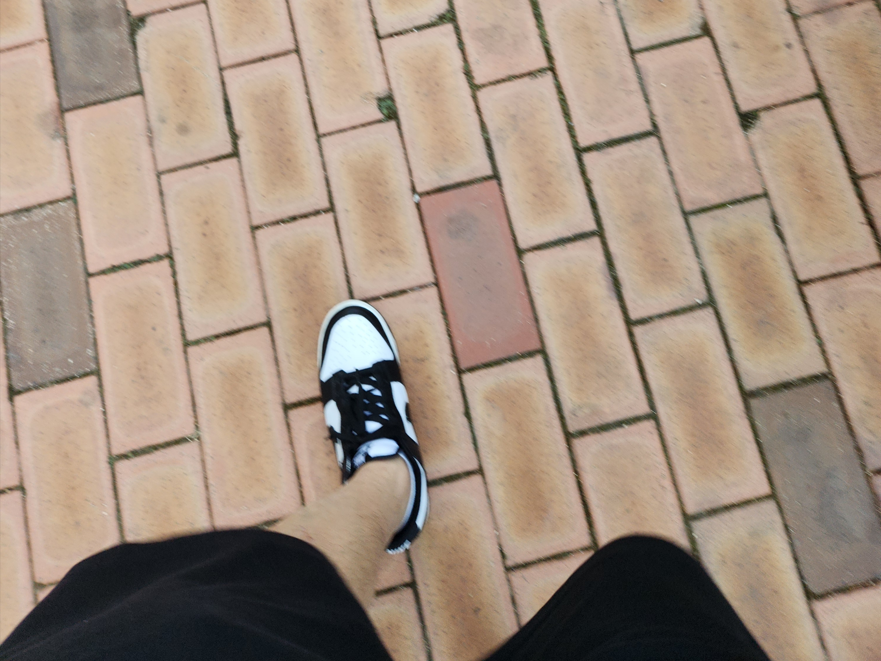 Nike Dunk Low Retro Black 착용 스타일