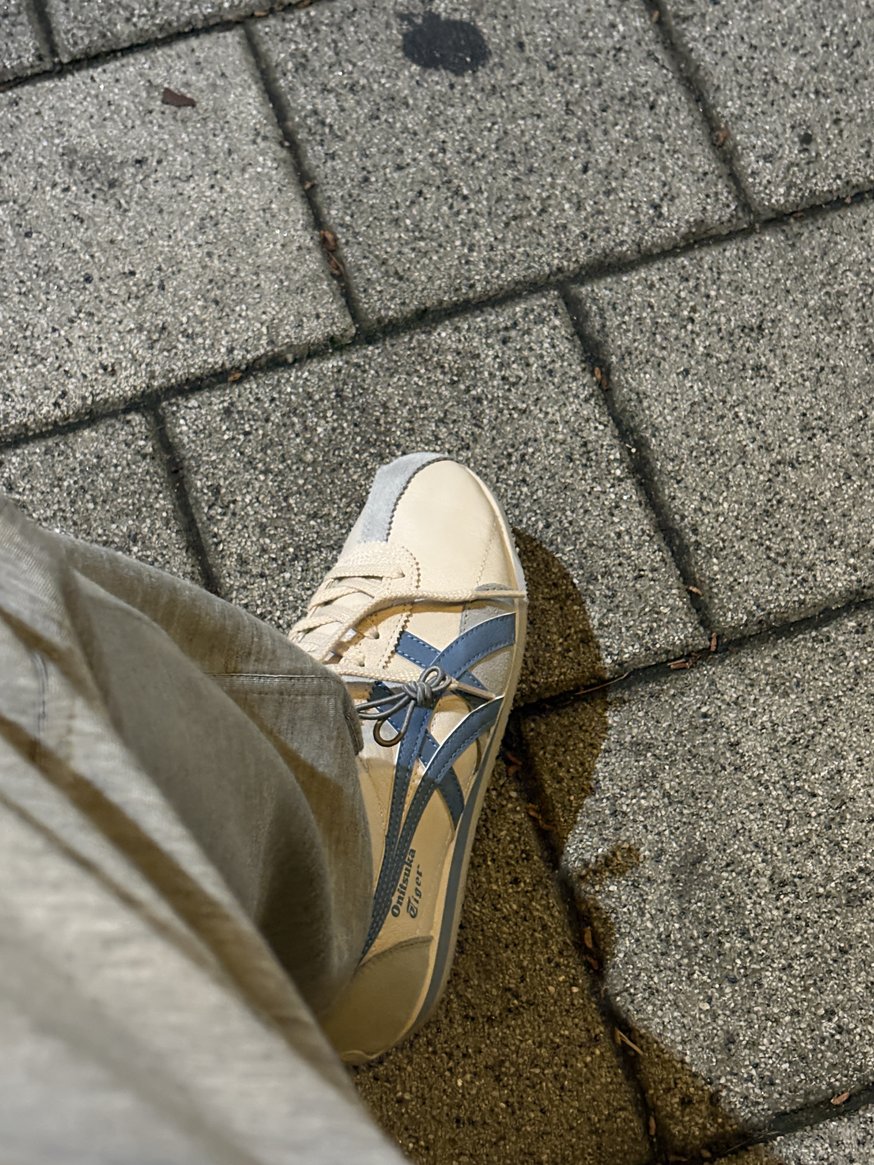 Onitsuka Tiger Runspark Cream Light Blue 착용 스타일 - 2