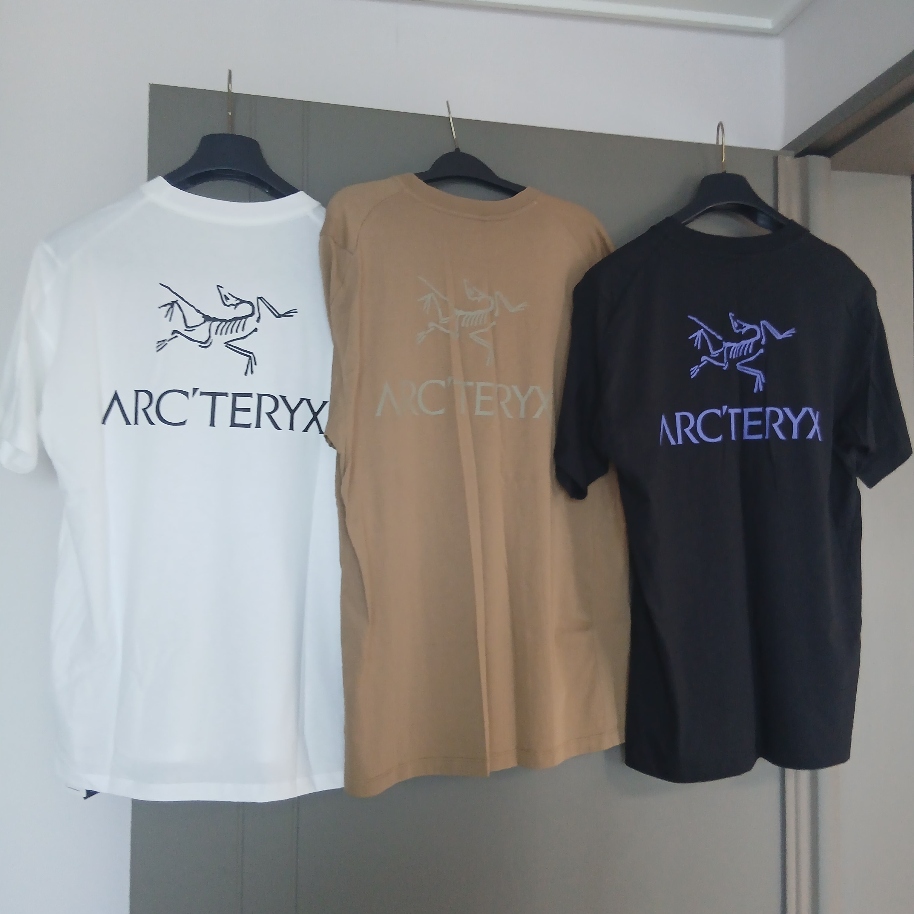 Arc'teryx Kragg SL Cotton Bird Word SS T-Shirt Canvas, Arc'teryx Kragg SL Cotton Bird Word SS T-Shirt White Light Black 착용 스타일 - 1