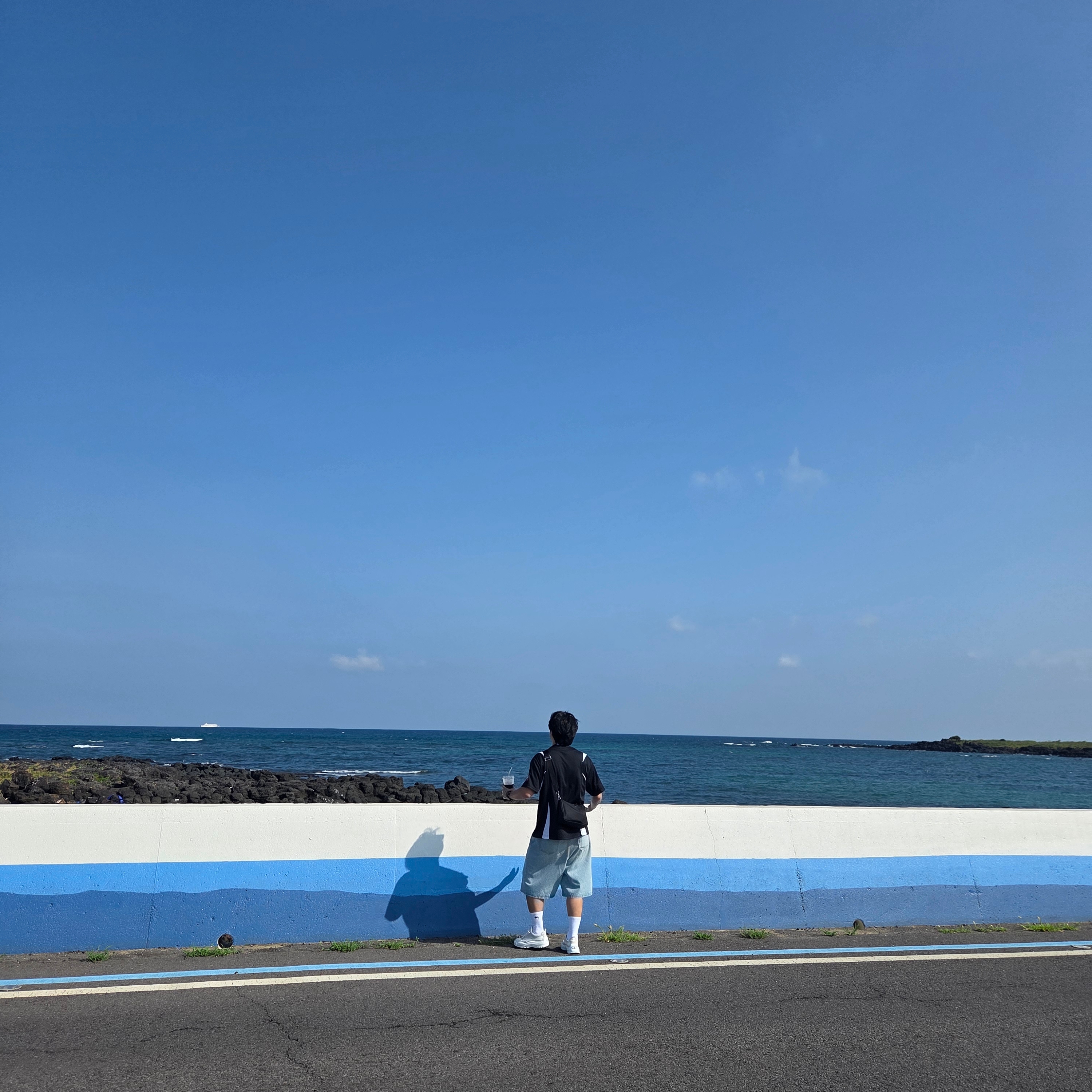 Stussy Denim Big OL' Shorts Rinsed Indigo, Palace x Stella Artois Tech Polo Black - 24SS 착용 스타일 - 3