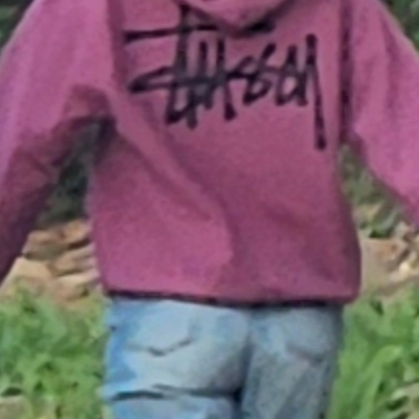 Stussy Basic Stussy Hoodie Berry 2024 착용 스타일