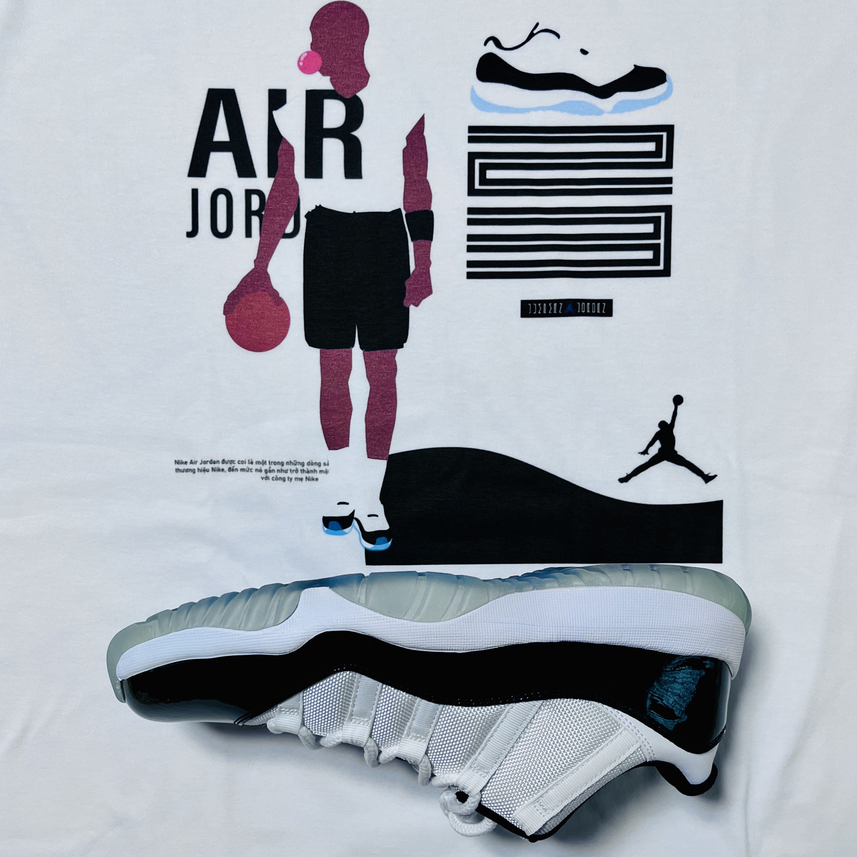 Jordan 11 Retro Low Concord 착용 스타일
