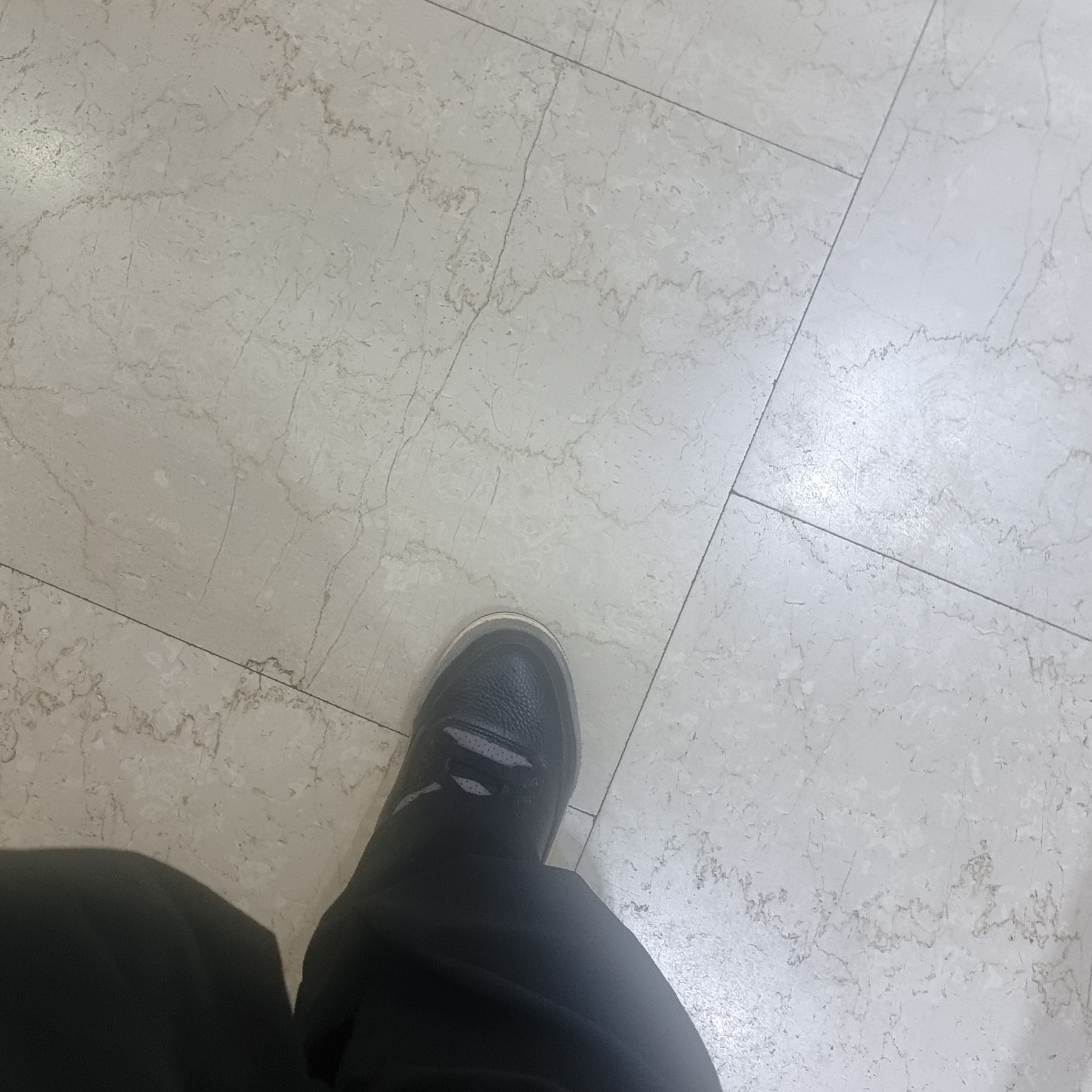 (W) Jordan 3 x A Ma Maniere Retro OG SP Black and Flat Pewter 착용 스타일