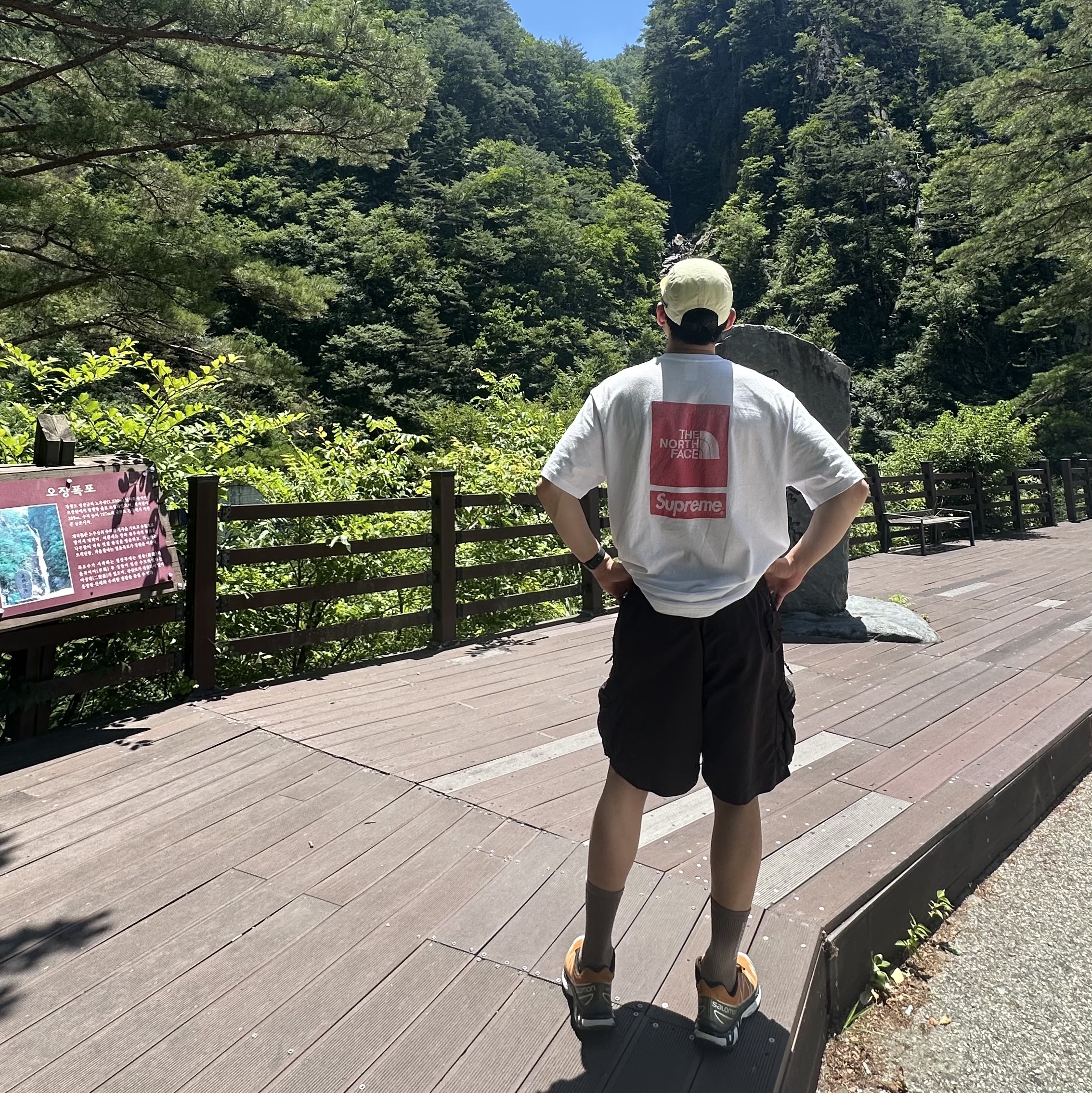 Supreme x The North Face S/S Top White - 24SS, Nike ACG Snowgrass Cargo Shorts Velvet Brown - US/EU 착용 스타일 - 1
