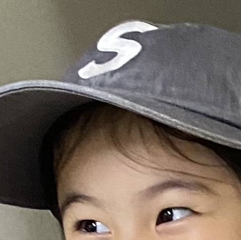 Supreme Pigment Print S Logo 6-Panel Grey - 22FW 착용 스타일