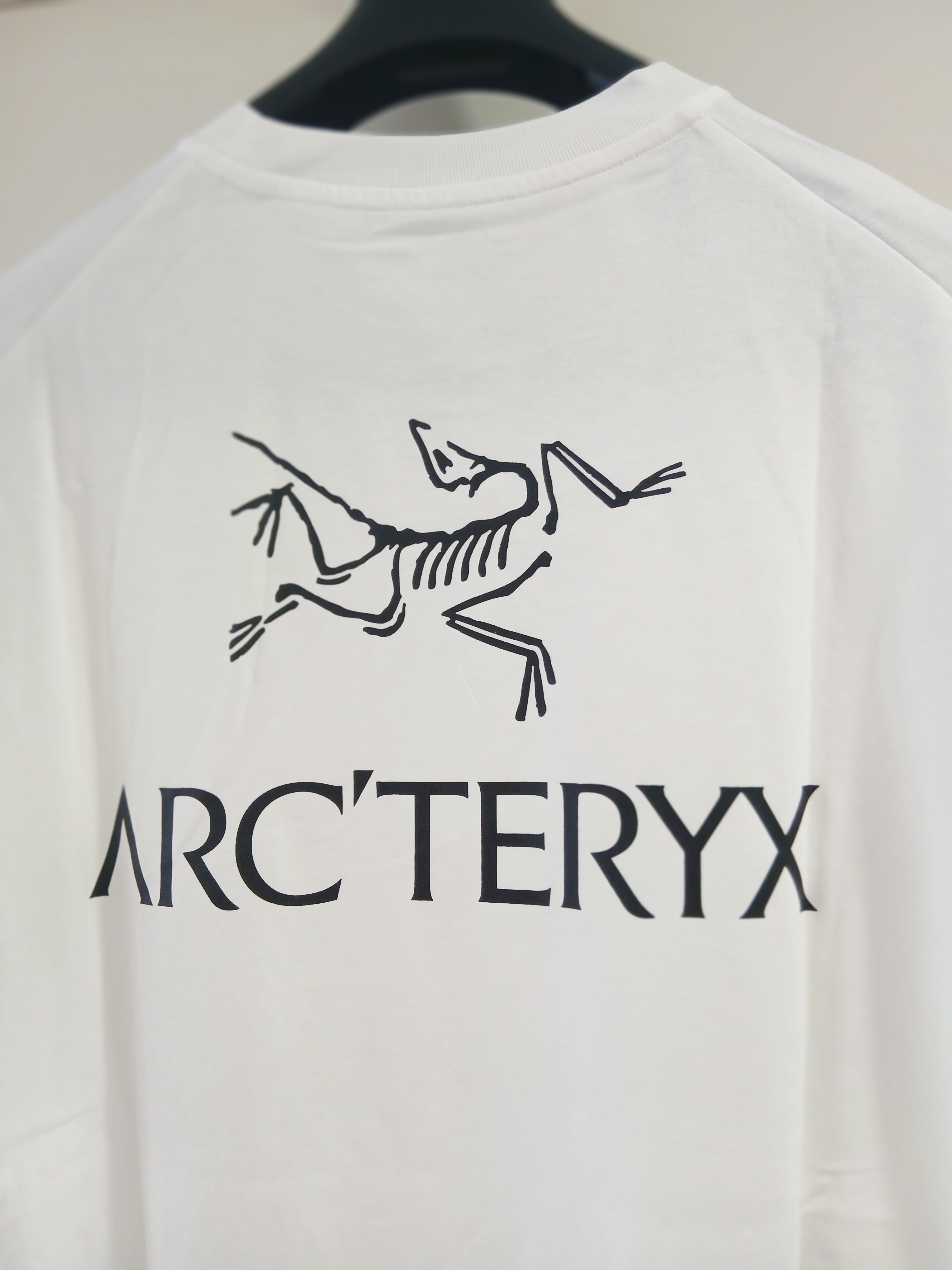 Arc'teryx Kragg SL Cotton Bird Word SS T-Shirt White Light Black 착용 스타일 - 5