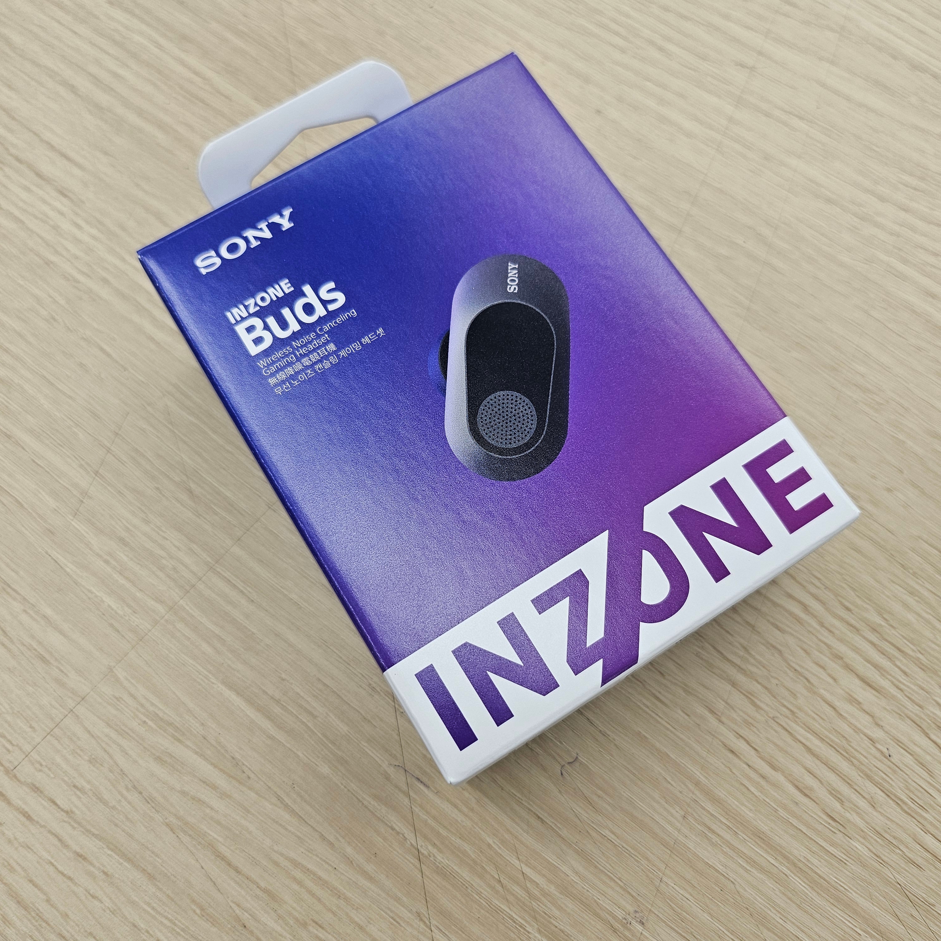Sony INZONE Buds Black (Sony Korea Ver.) 착용 스타일 - 1