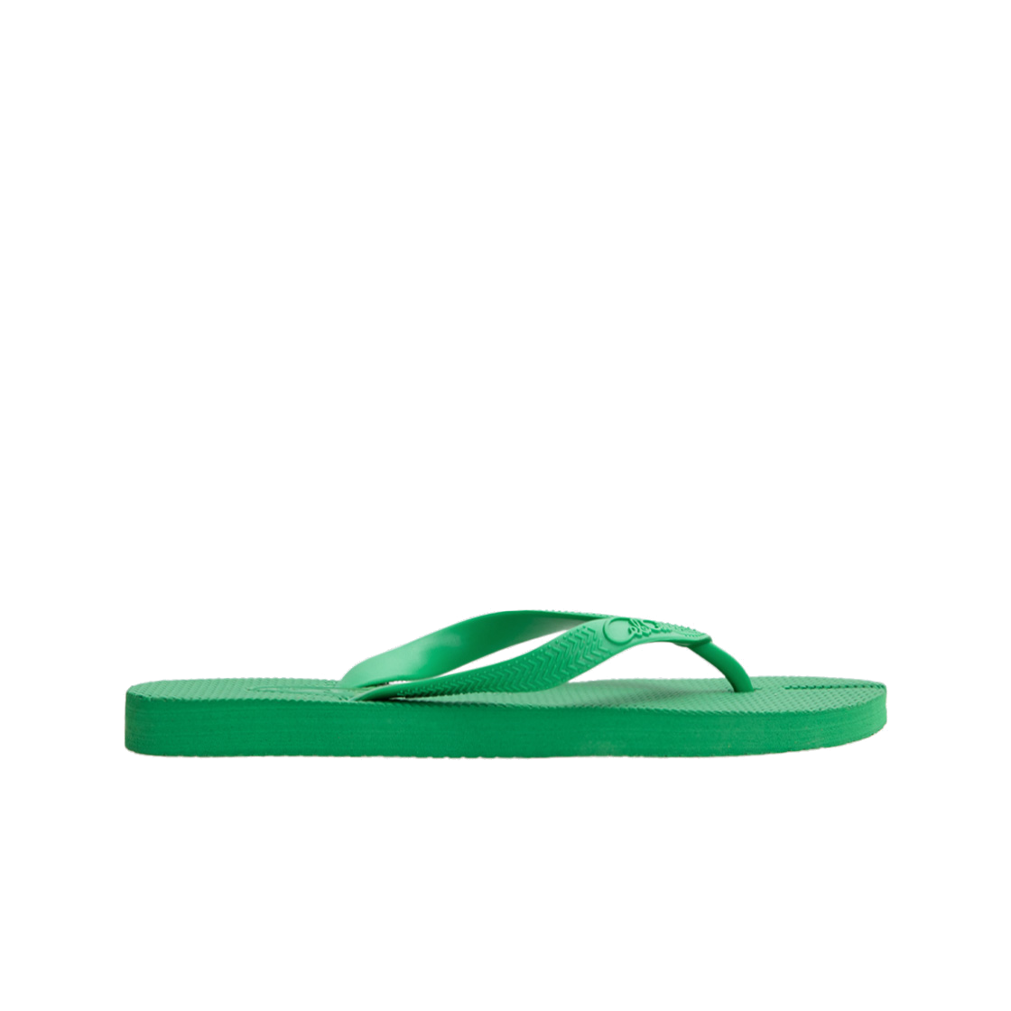 꼴레꼴레 뉴 웨이브 그린(Colecole New Wave Green)