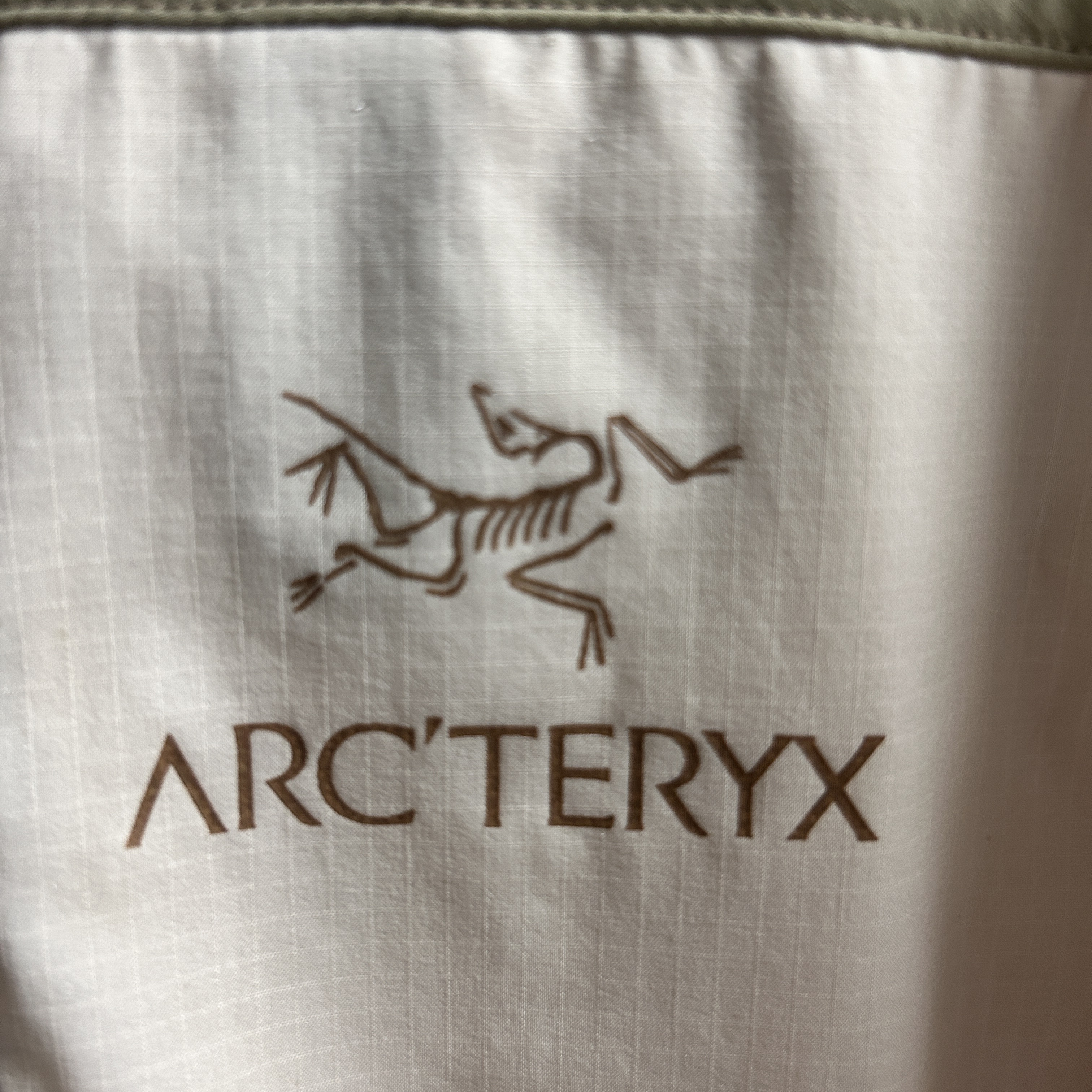 Arc'teryx x Beams Squamish Hoody Nagomi 착용 스타일 - 2