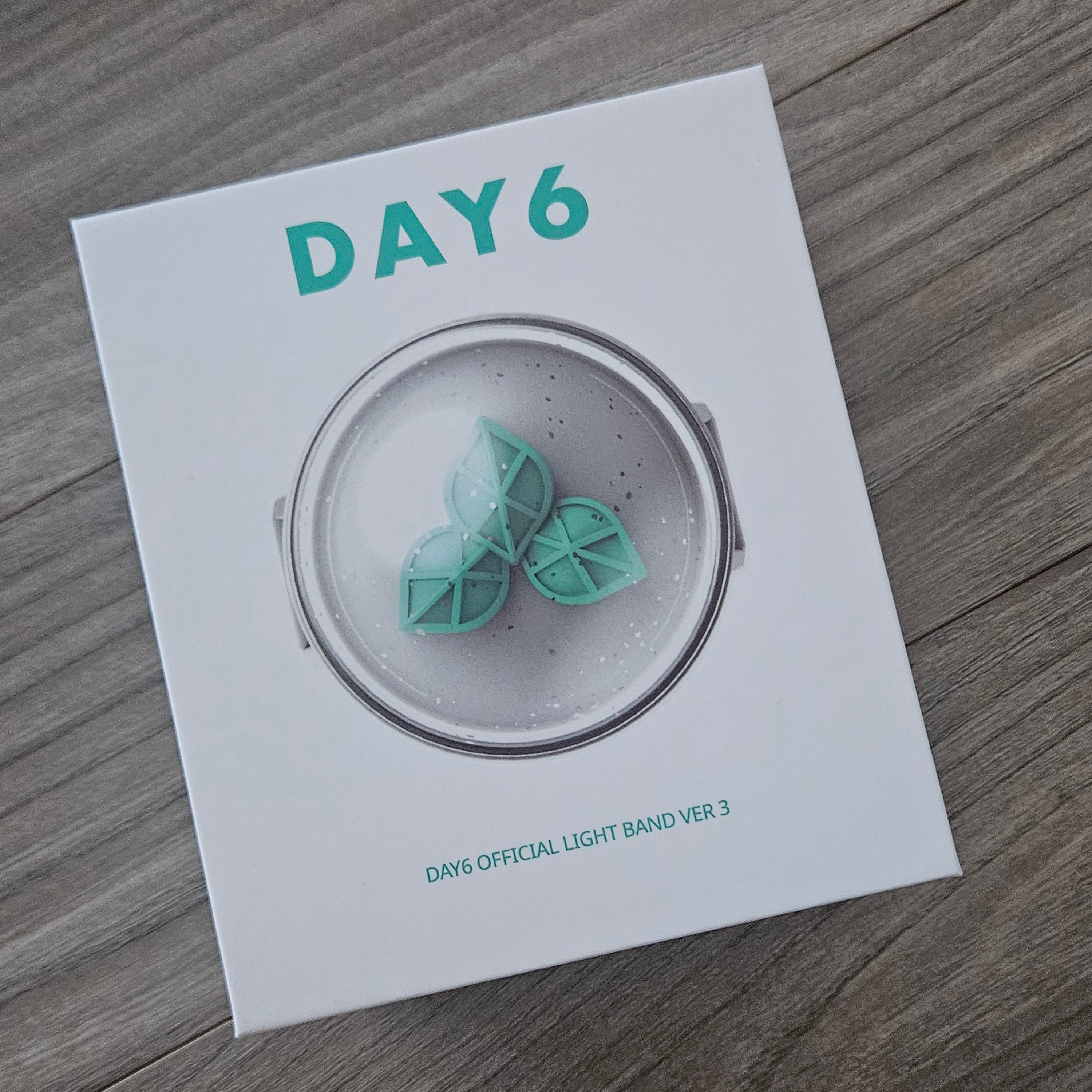 Day6 Official Light Band Ver. 3 착용 스타일 - 1