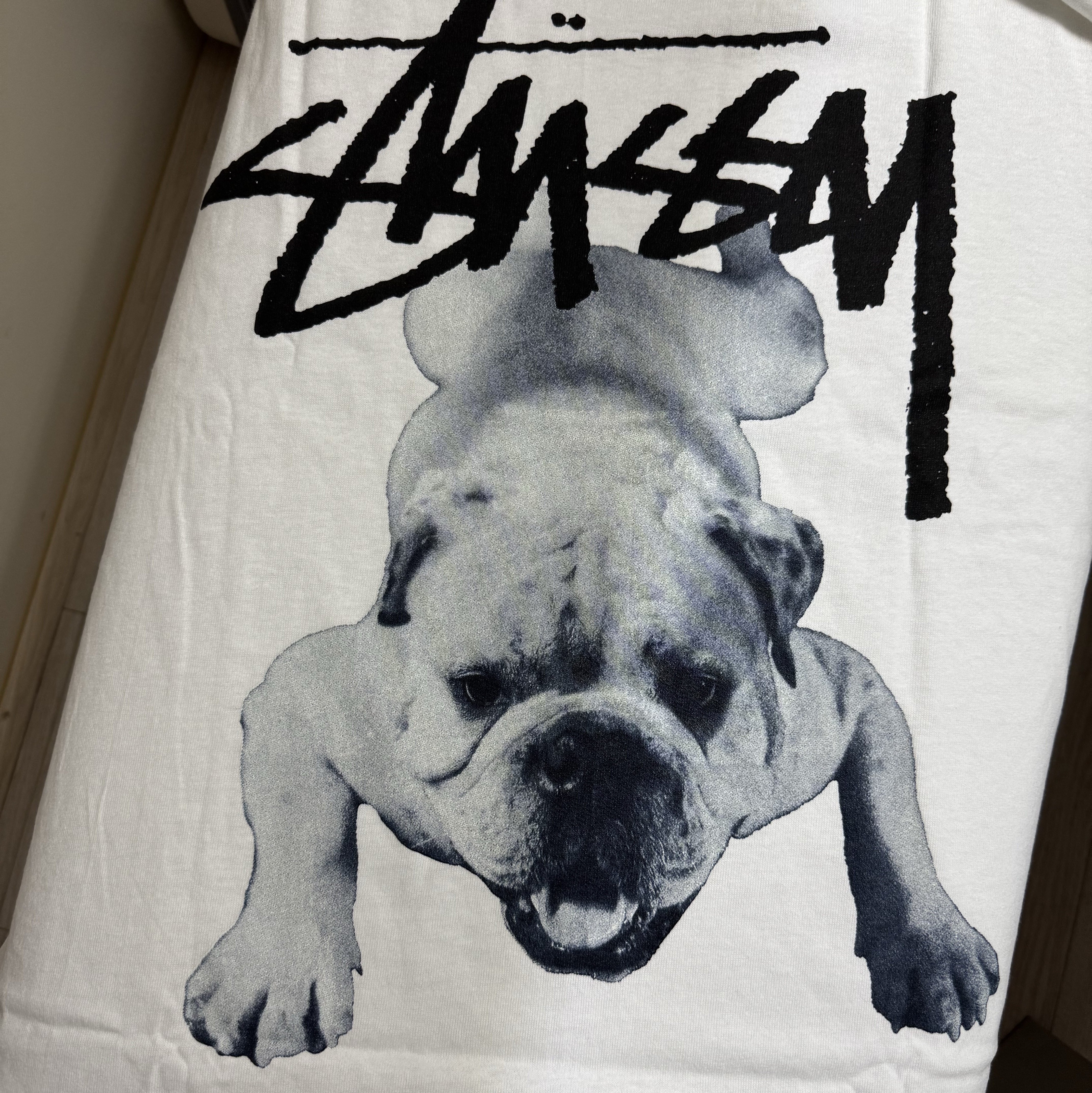 Stussy Stock Dog T-Shirt White 착용 스타일
