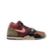 Nike x Arts-Rec Skateshop SB Air Trainer 1 Earth and Dusty Peach