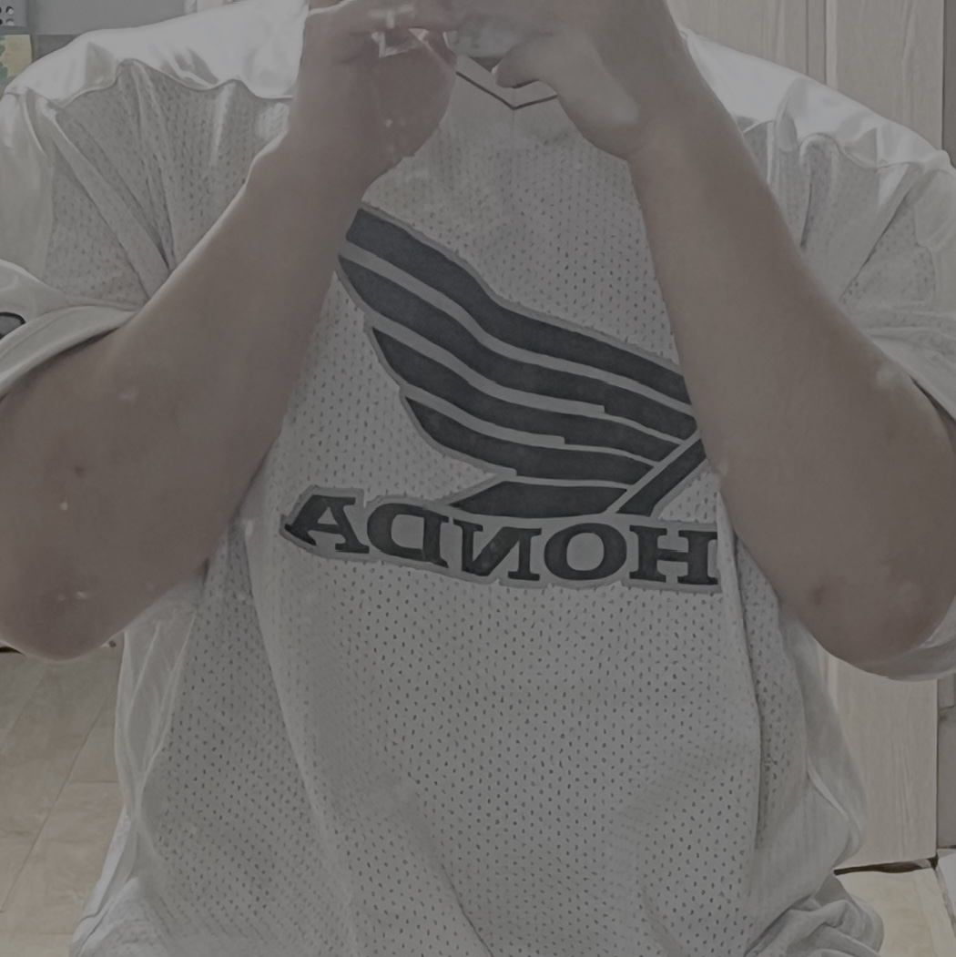 Honda Original Wing Logo Mesh T-Shirt White 착용 스타일