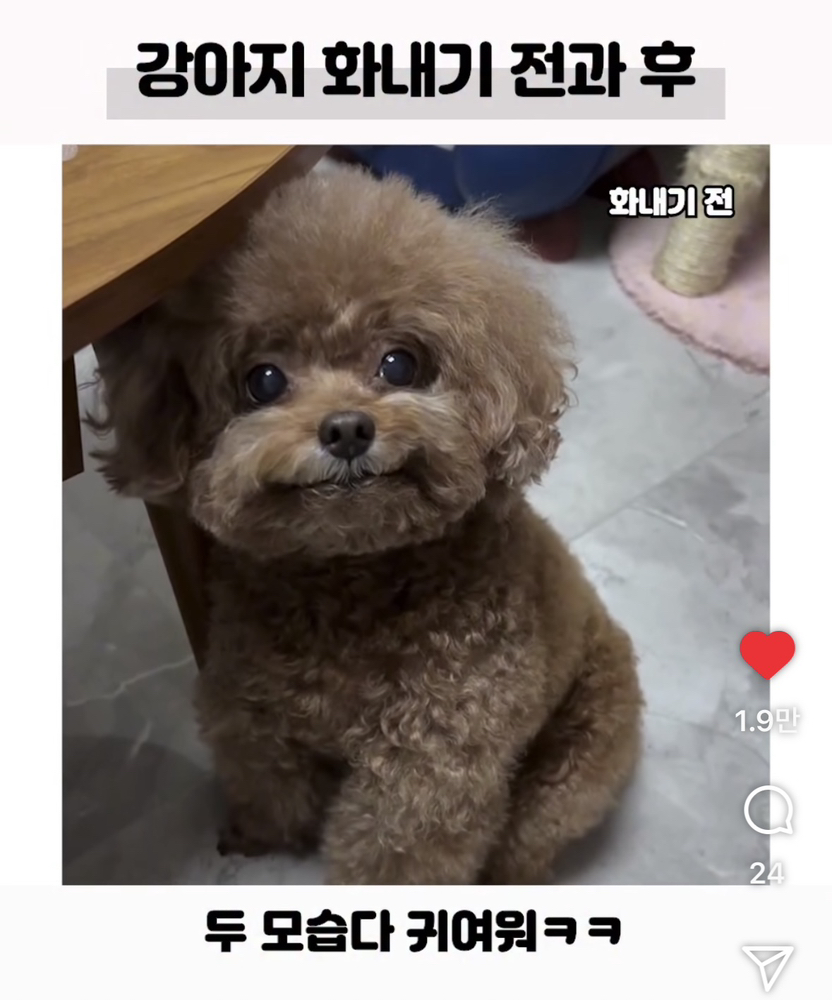 KREAM 프로필 이미지