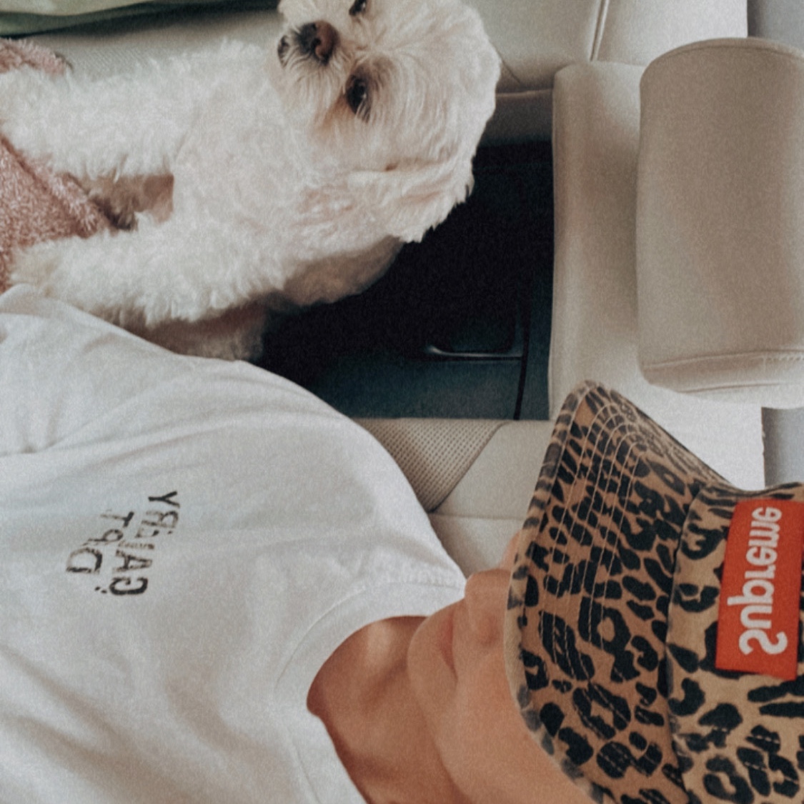 Supreme Washed Chino Twill Camp Cap Leopard - 23FW 착용 스타일 - 1