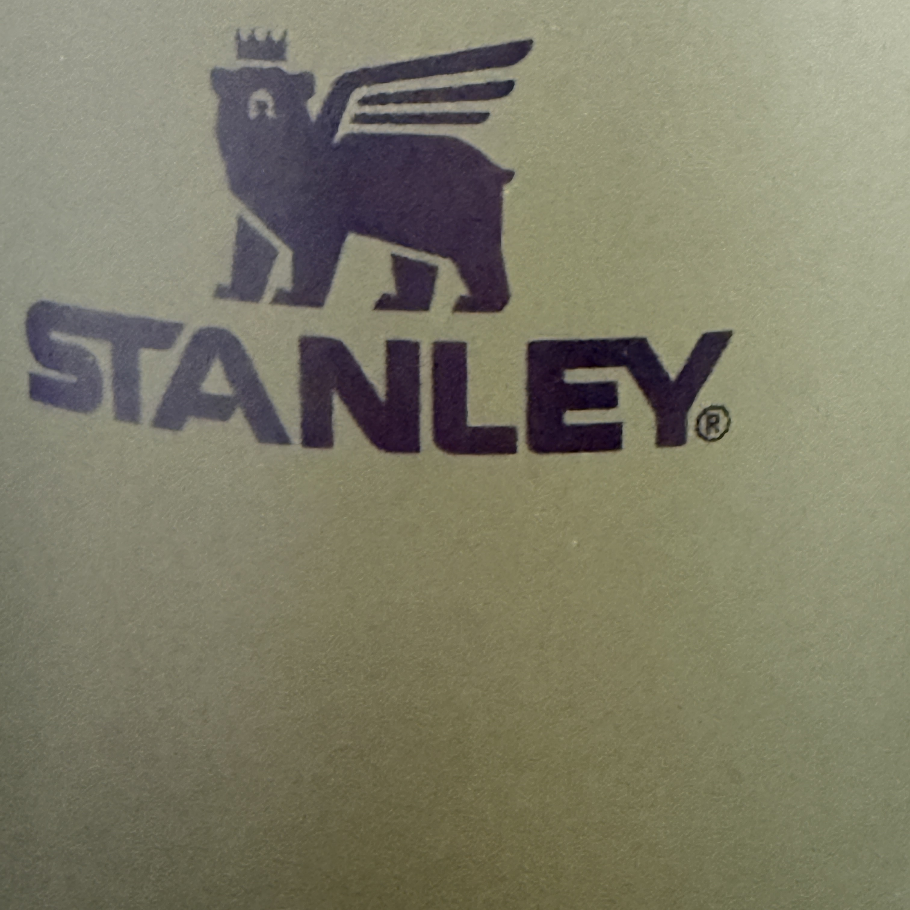 Stanley The Quencher H2.0 Flowstate Tumbler 887ml Dried Pine 착용 스타일
