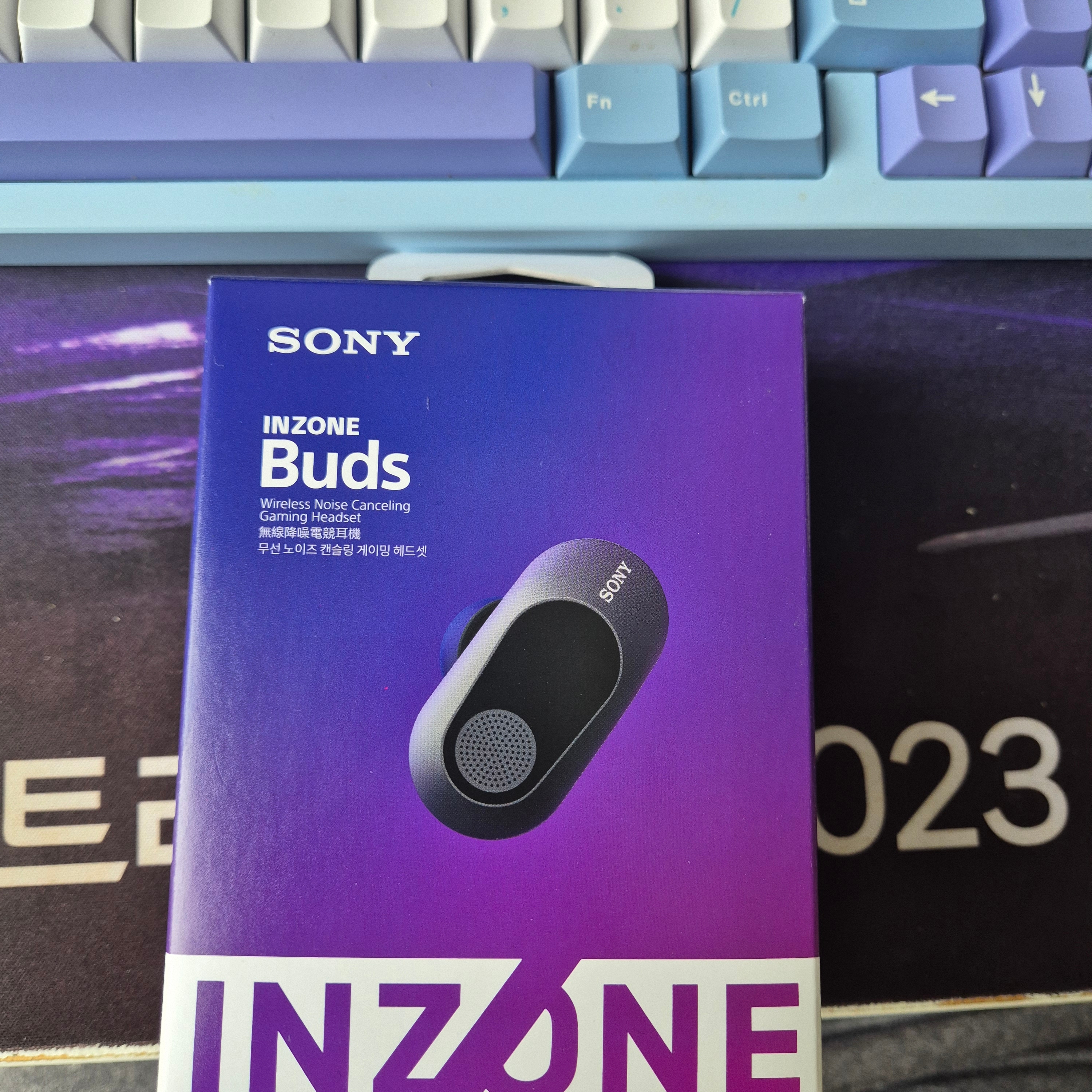 Sony INZONE Buds Black (Sony Korea Ver.) 착용 스타일 - 1