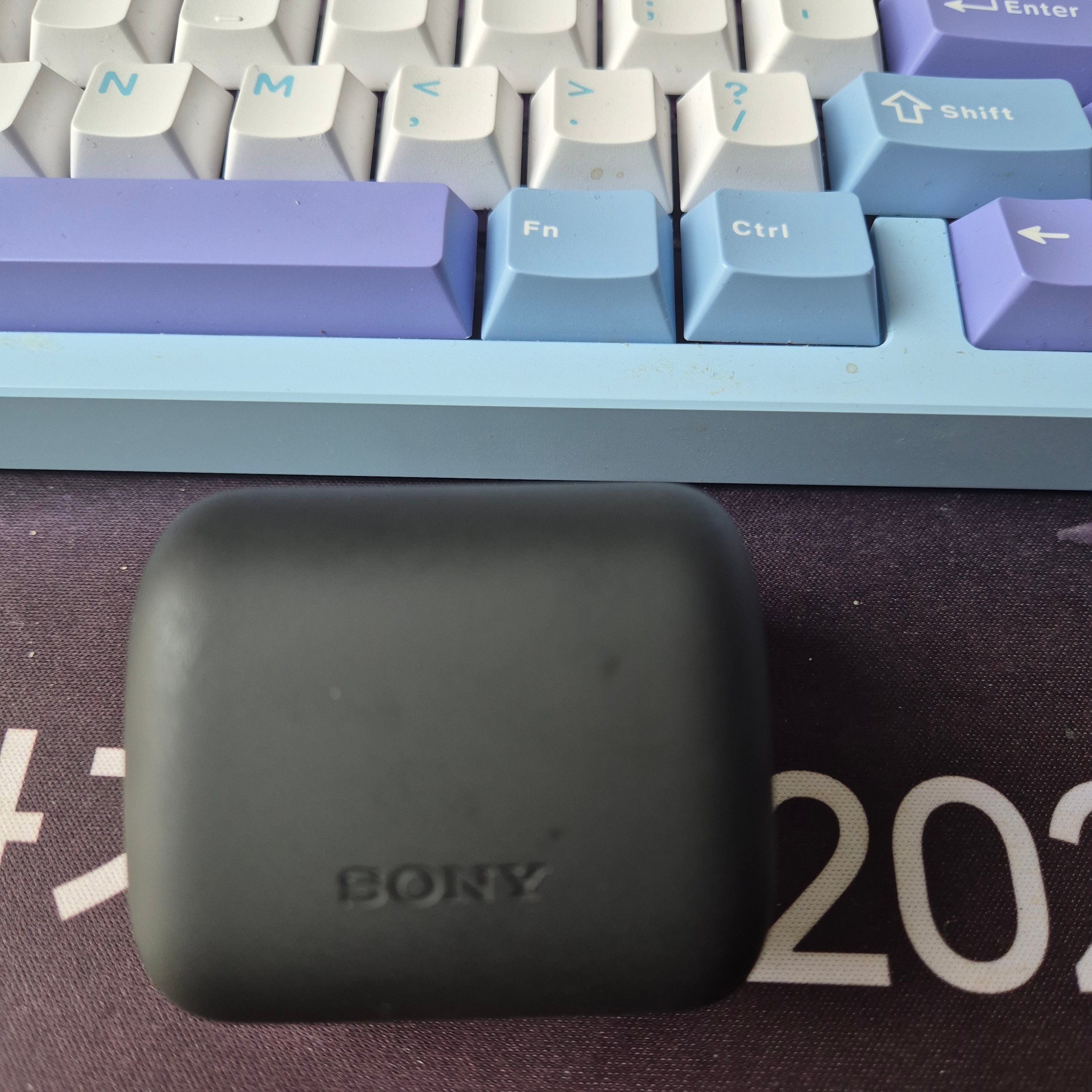 Sony INZONE Buds Black (Sony Korea Ver.) 착용 스타일 - 3
