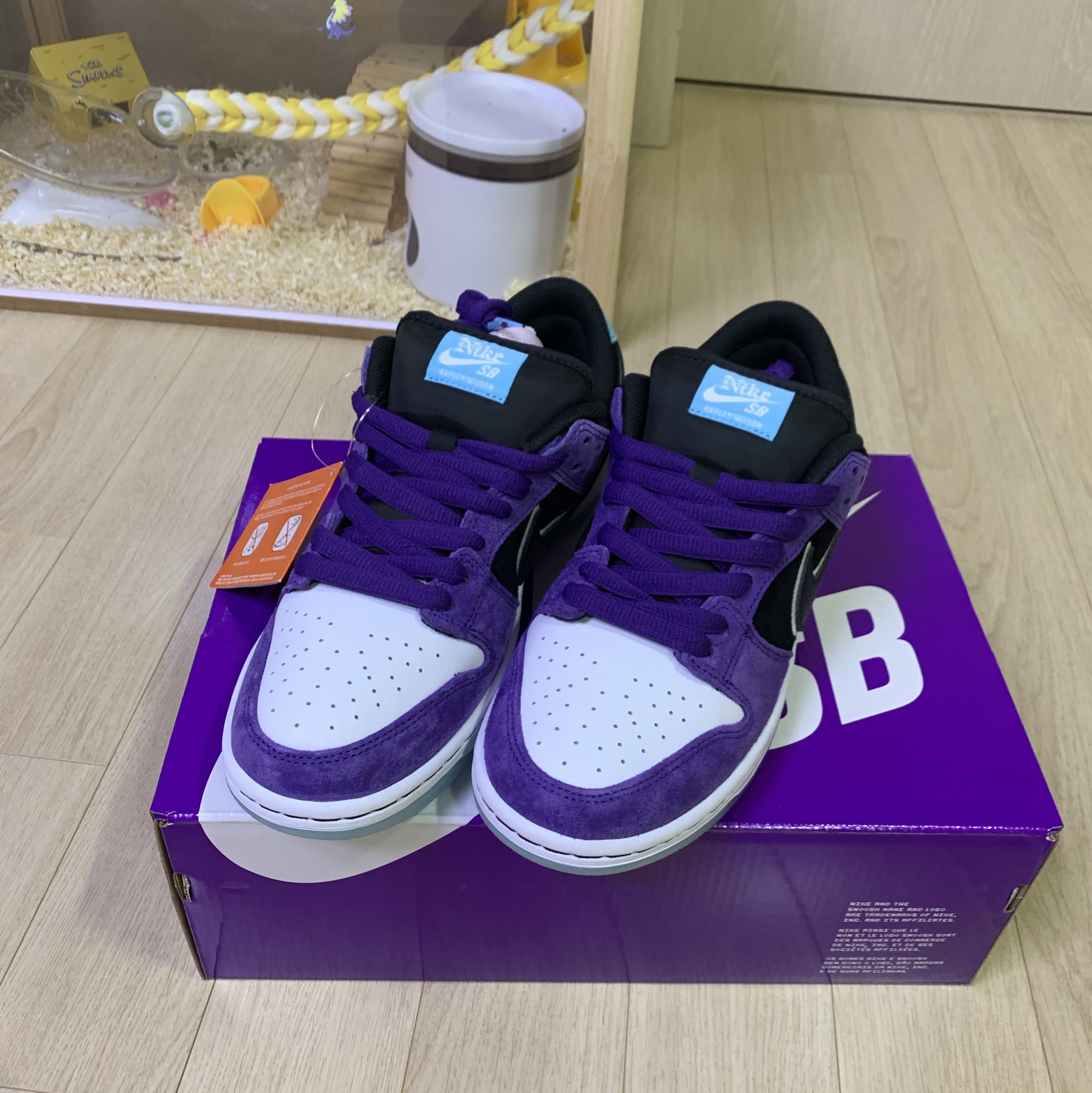 Nike x Hayley Wilson SB Dunk Low Pro Black and Court Purple 착용 스타일 - 1
