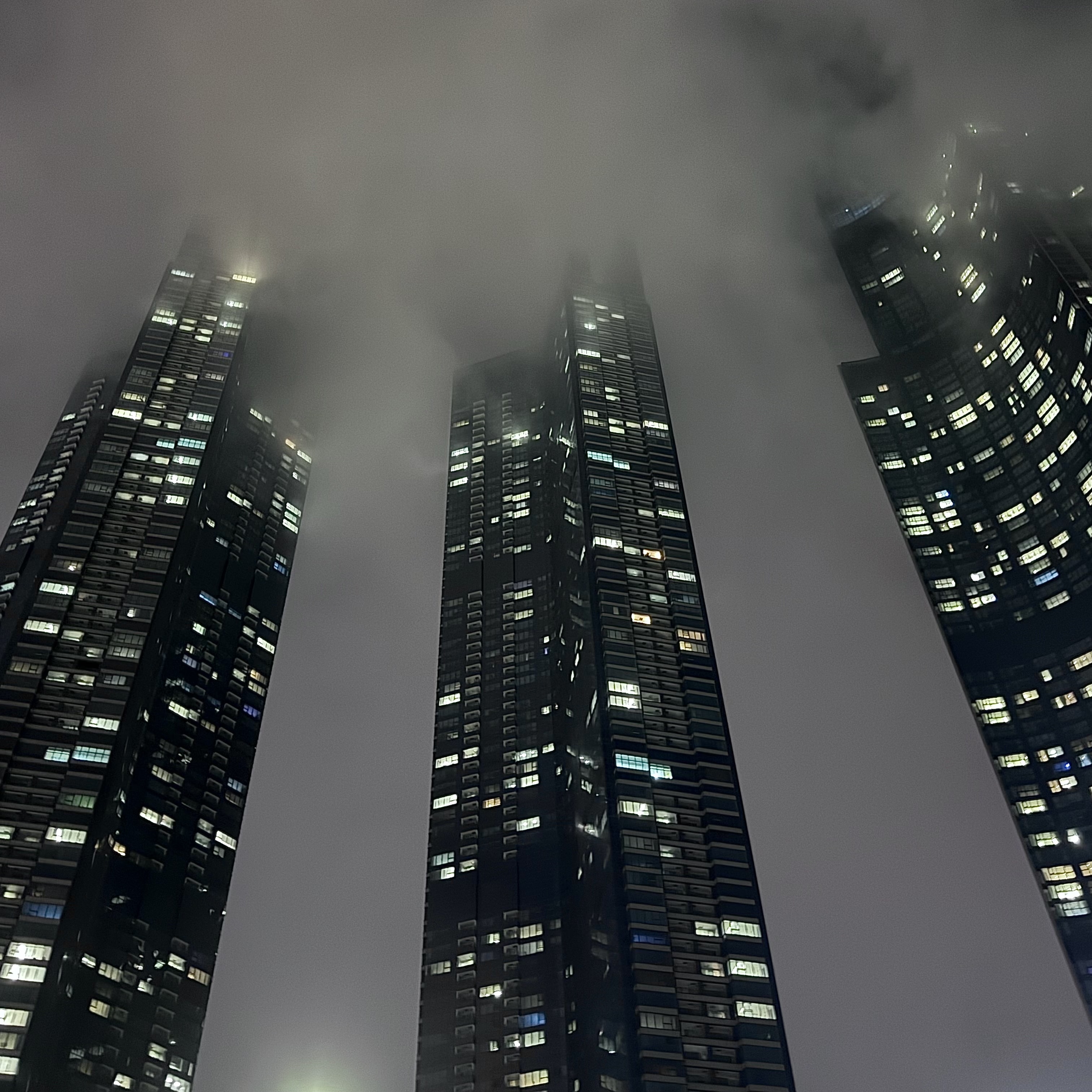 Longchamp Le Pliage Green Handle Pouch Black, Jellycat Bashful Bunny Bag Charm Beige 착용 스타일 - 3