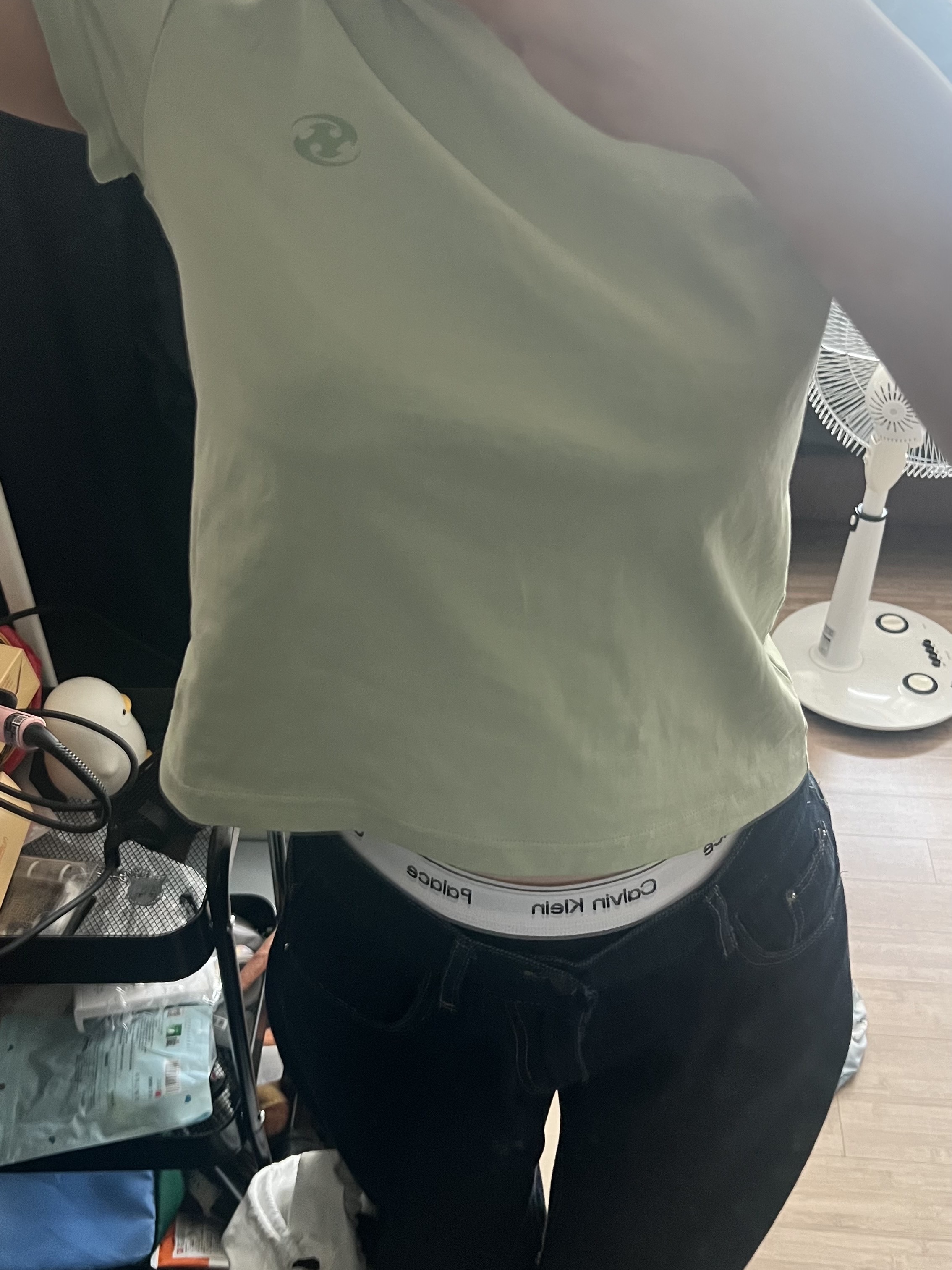 Sansan Gear Women Logo T-Shirt Light Green_25SS, (W) Palace x CK1 Bike Shorts Black - 22SS 착용 스타일
