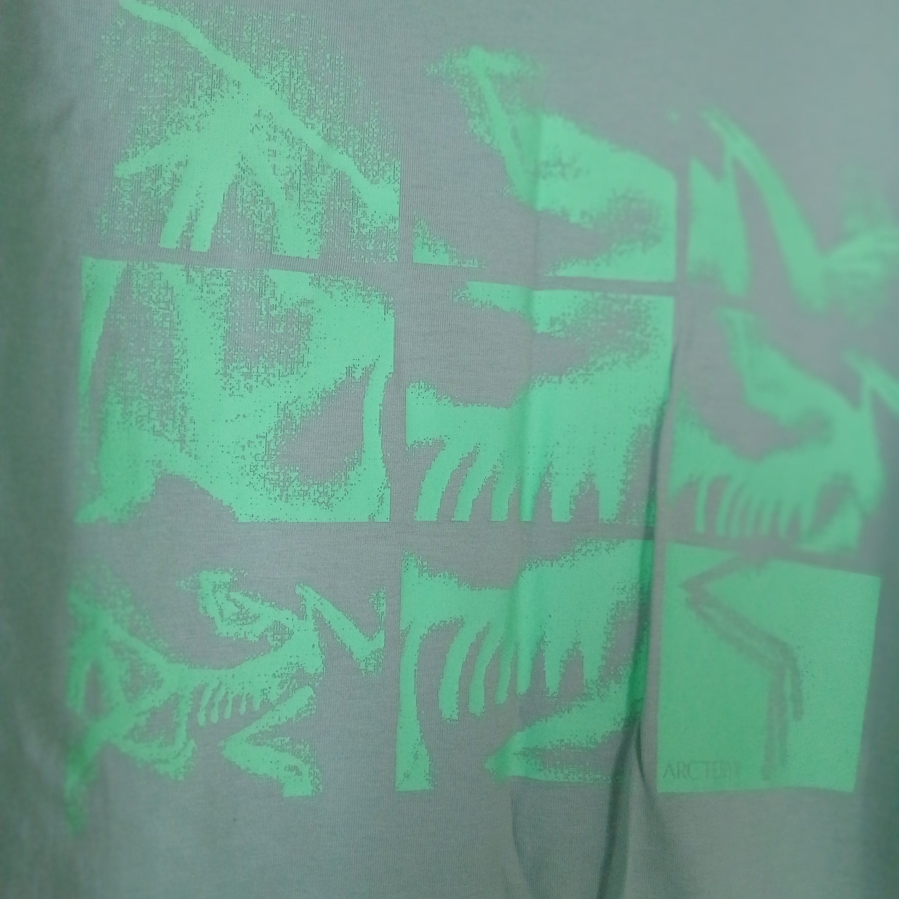 Arc'teryx Kragg SL Cotton Bird Tile LS Shirt Stone Green Phosphorescent, Arc'teryx Kragg SL Cotton Bird Tile LS Shirt Black Arctic Silk 착용 스타일 - 3