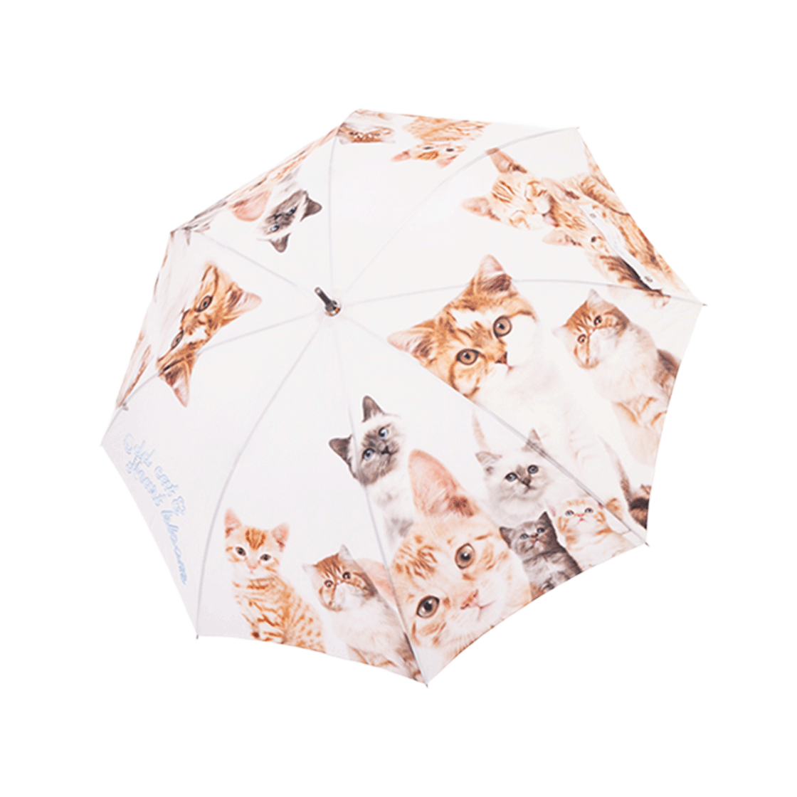 블루밍테일 오드 캣 장우산(Bloomingtale Odd Cat Umbrella)