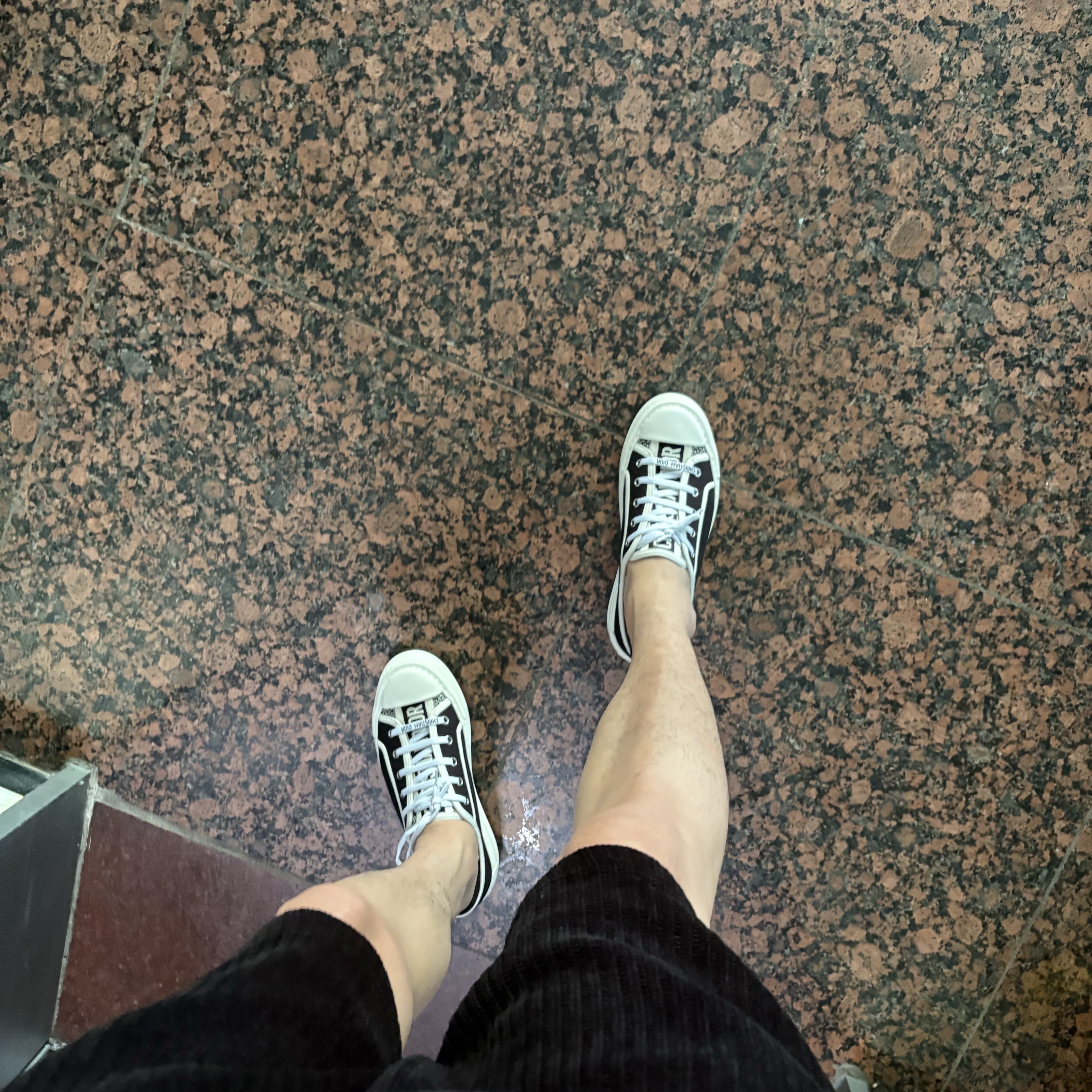 (W) Dior Walk'n'dior Platform Sneaker Black 착용 스타일