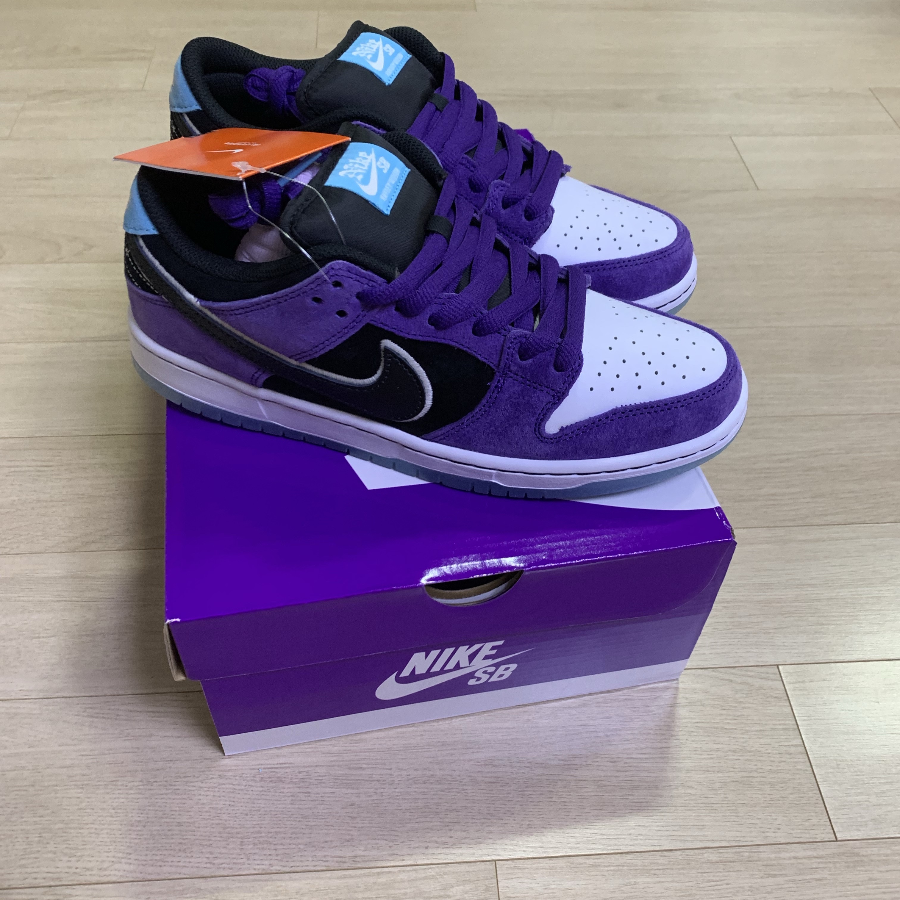 Nike x Hayley Wilson SB Dunk Low Pro Black and Court Purple 착용 스타일 - 3