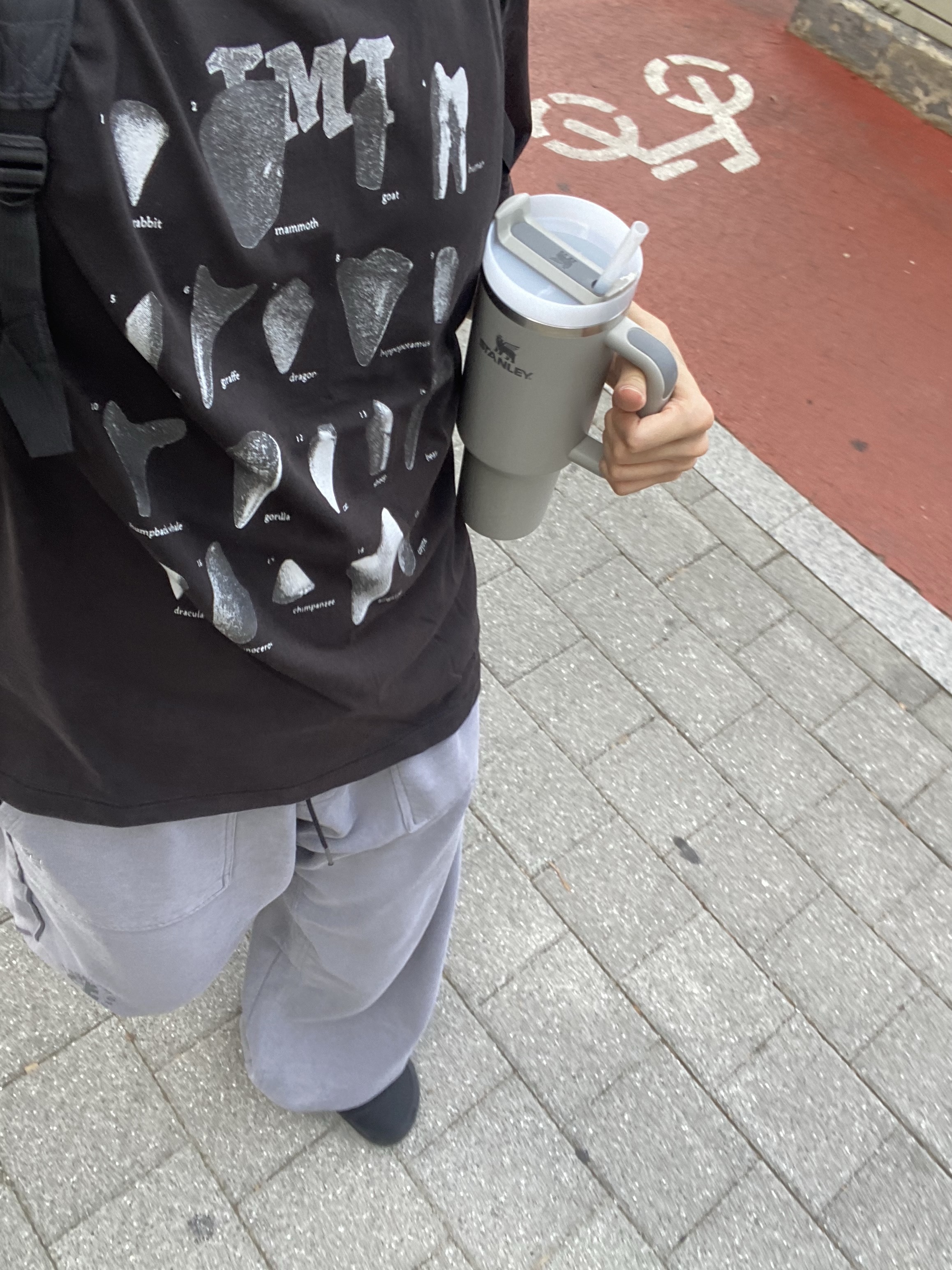 Polyteru 1011 Fatigue Sweatpants 1.2v Dirty Gray, Crocs Yukon Vista II Clog Black 착용 스타일