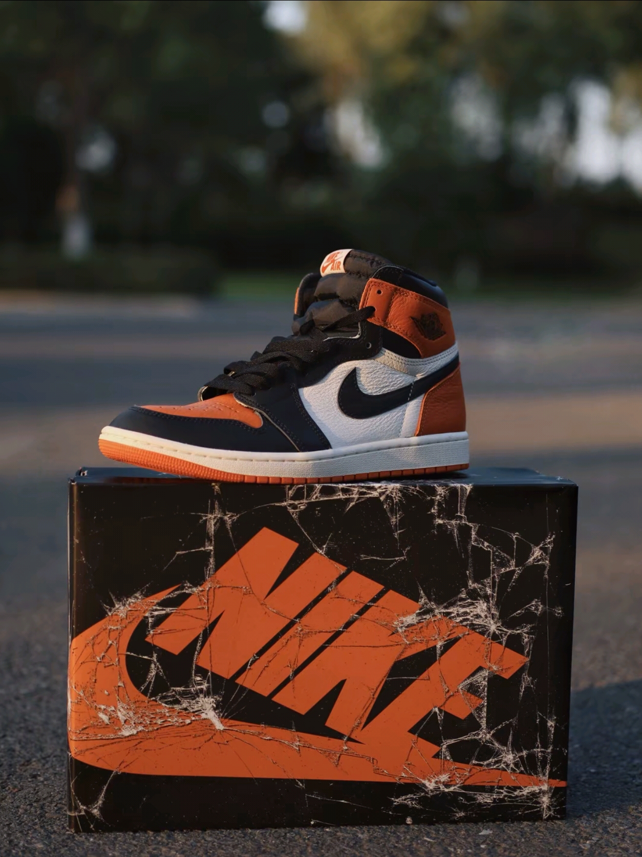 Jordan 1 Retro High OG Shattered Backboard, Mizuno Racer Trail SE Silver Grey 착용 스타일 - 1