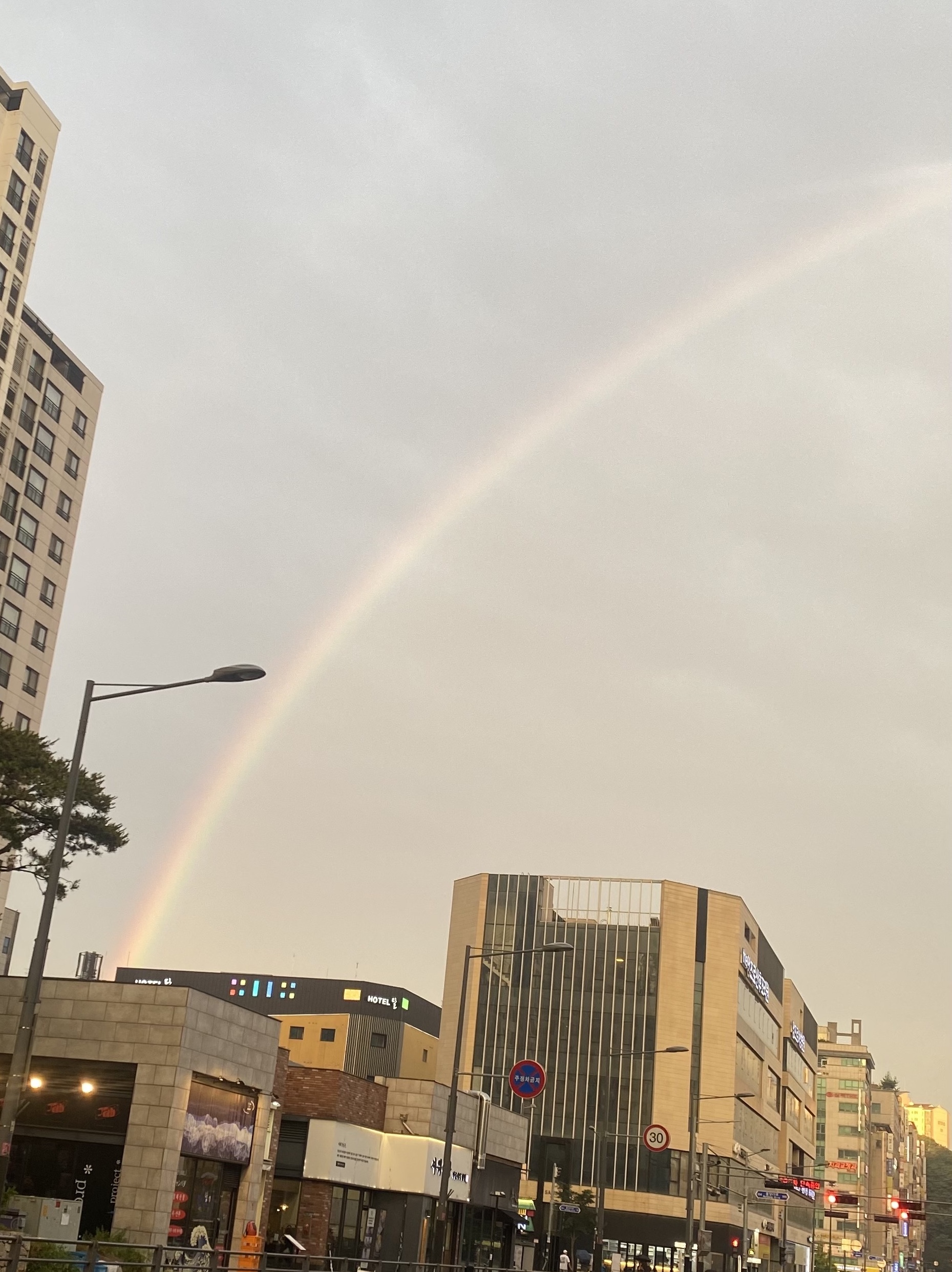 [KREAM 단독] Waviness Horizon Stripe Half Shirts Black Stripe - 25FW, Ignota Core:12 Cord Cargo Shorts Black 착용 스타일 - 8