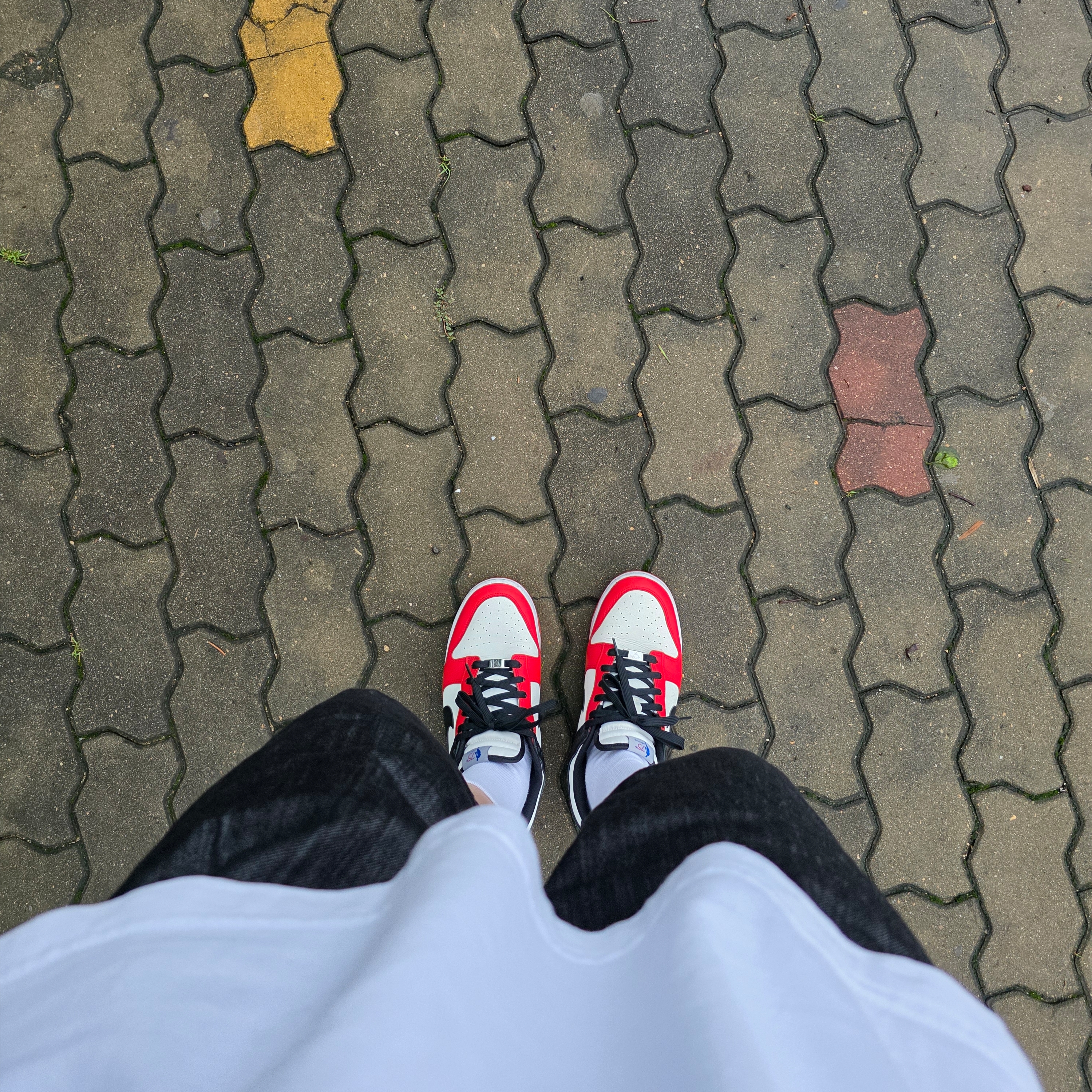 Nike x NBA Dunk Low Retro EMB Black and Chile Red 착용 스타일