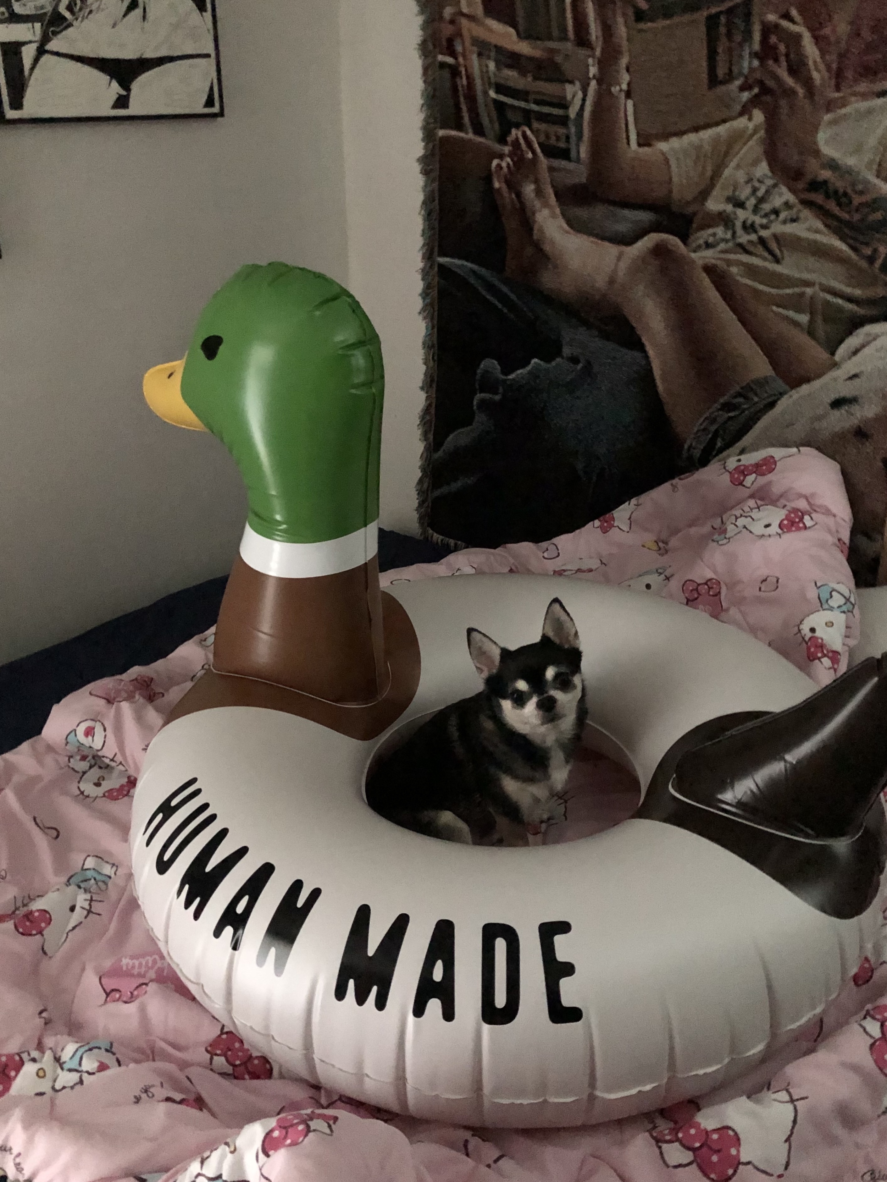 Human Made Duck Float White, Say Touche Photo Woven Blanket 01 착용 스타일