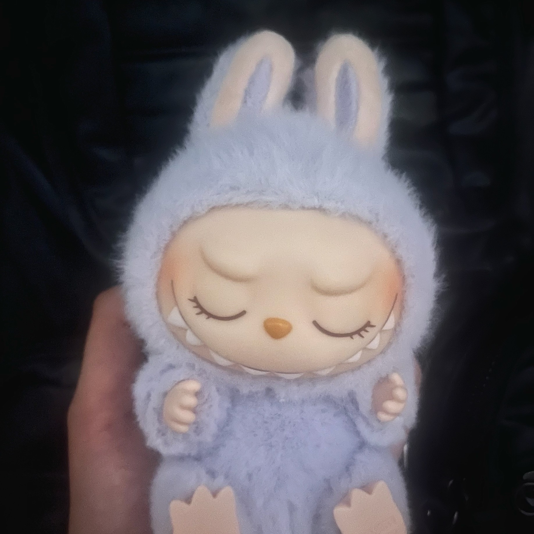 Pop Mart Labubu Let's Play Together Doll Series Zizi Keyring (Opened Case) 착용 스타일