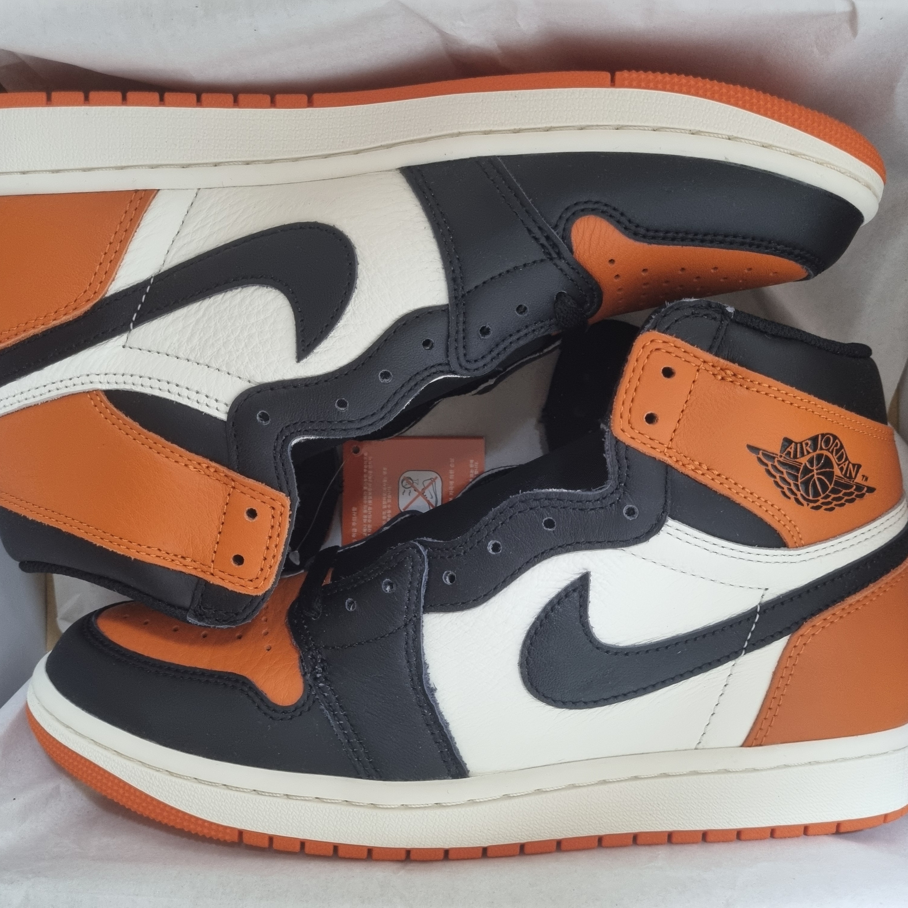 Jordan 1 Retro High OG Shattered Backboard 착용 스타일 - 2