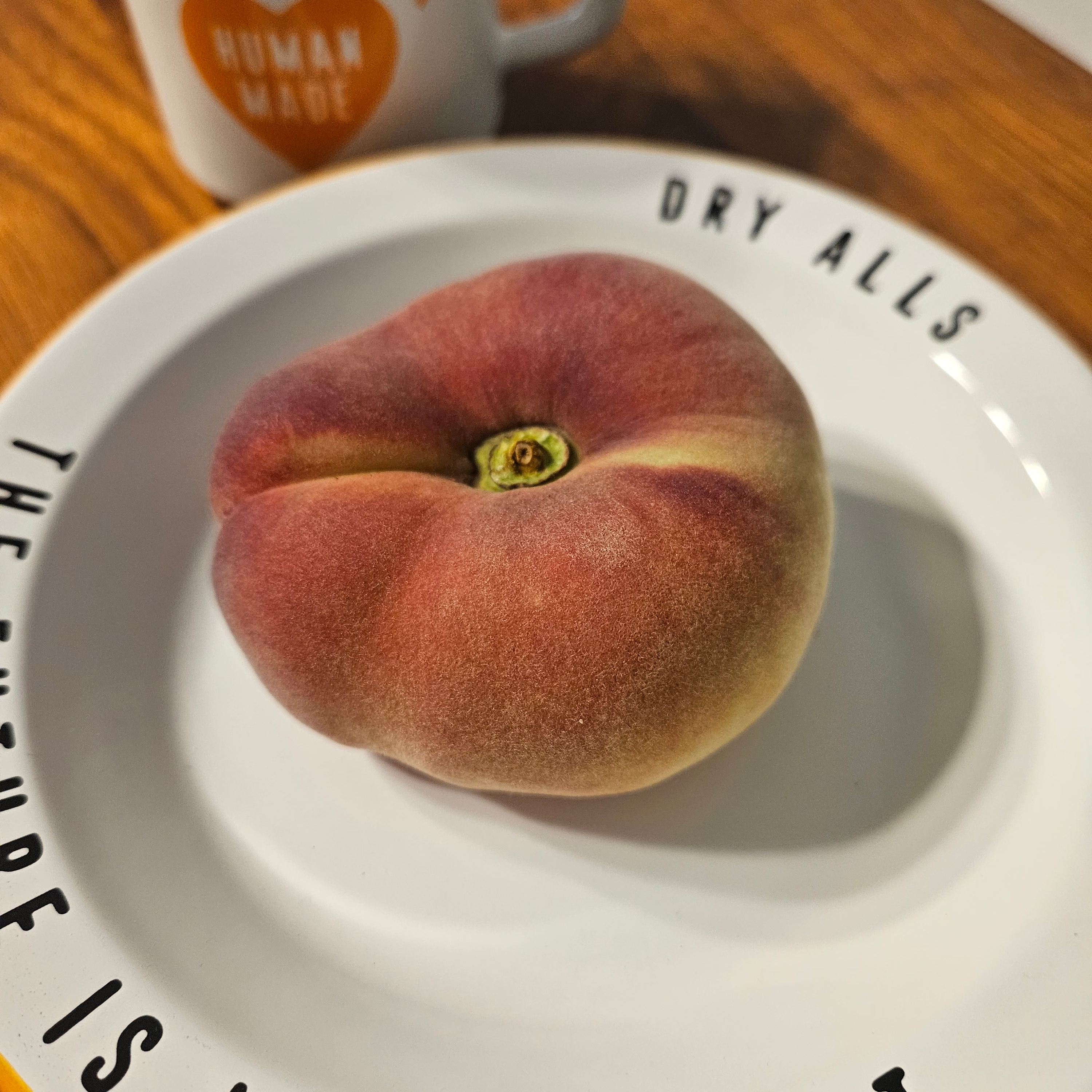 Human Made Enamel Plate 180mm Orange, Human Made Enamel Mug 270ml Orange 착용 스타일 - 4